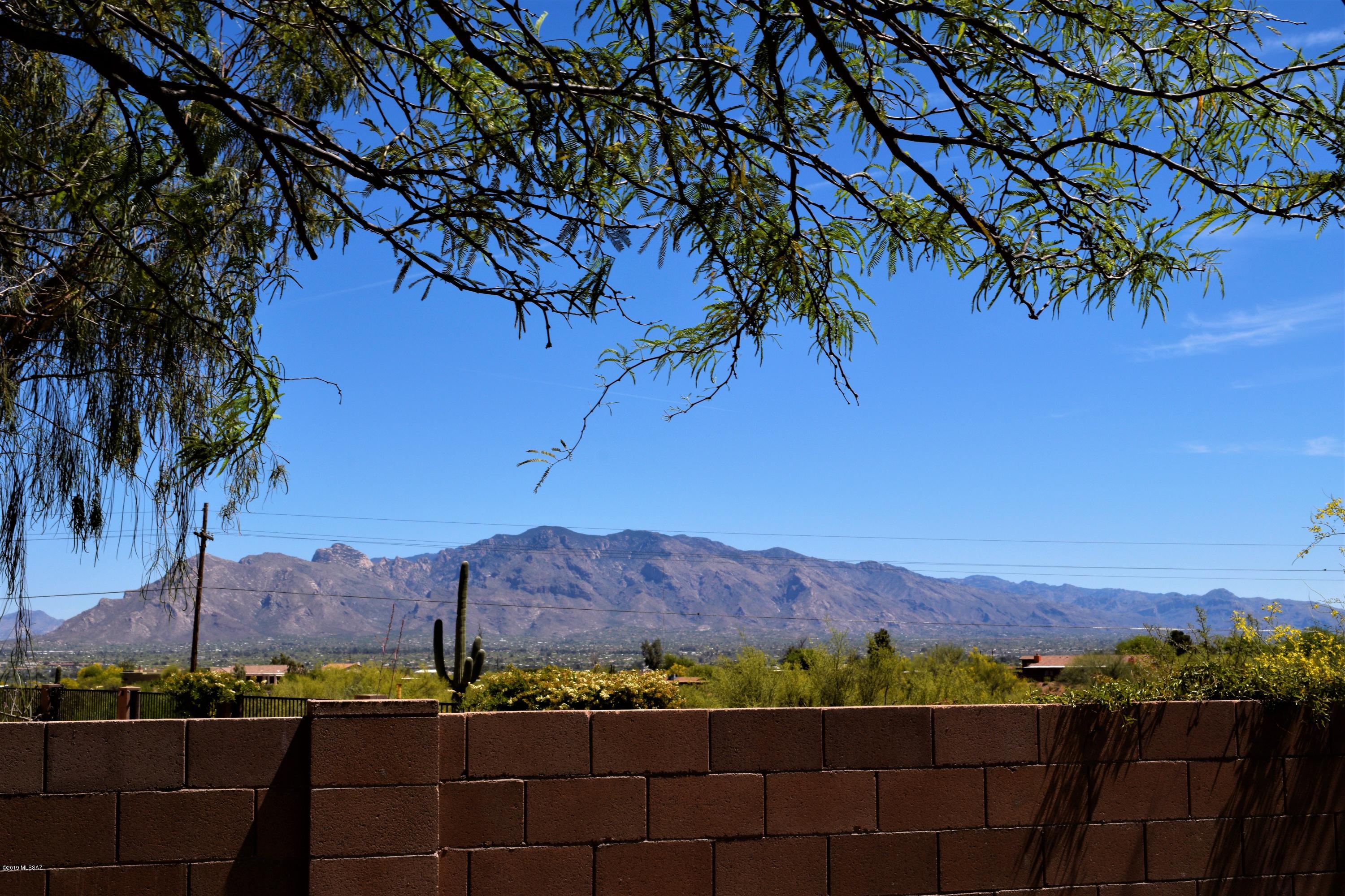 3648 N Trilby Wash Court