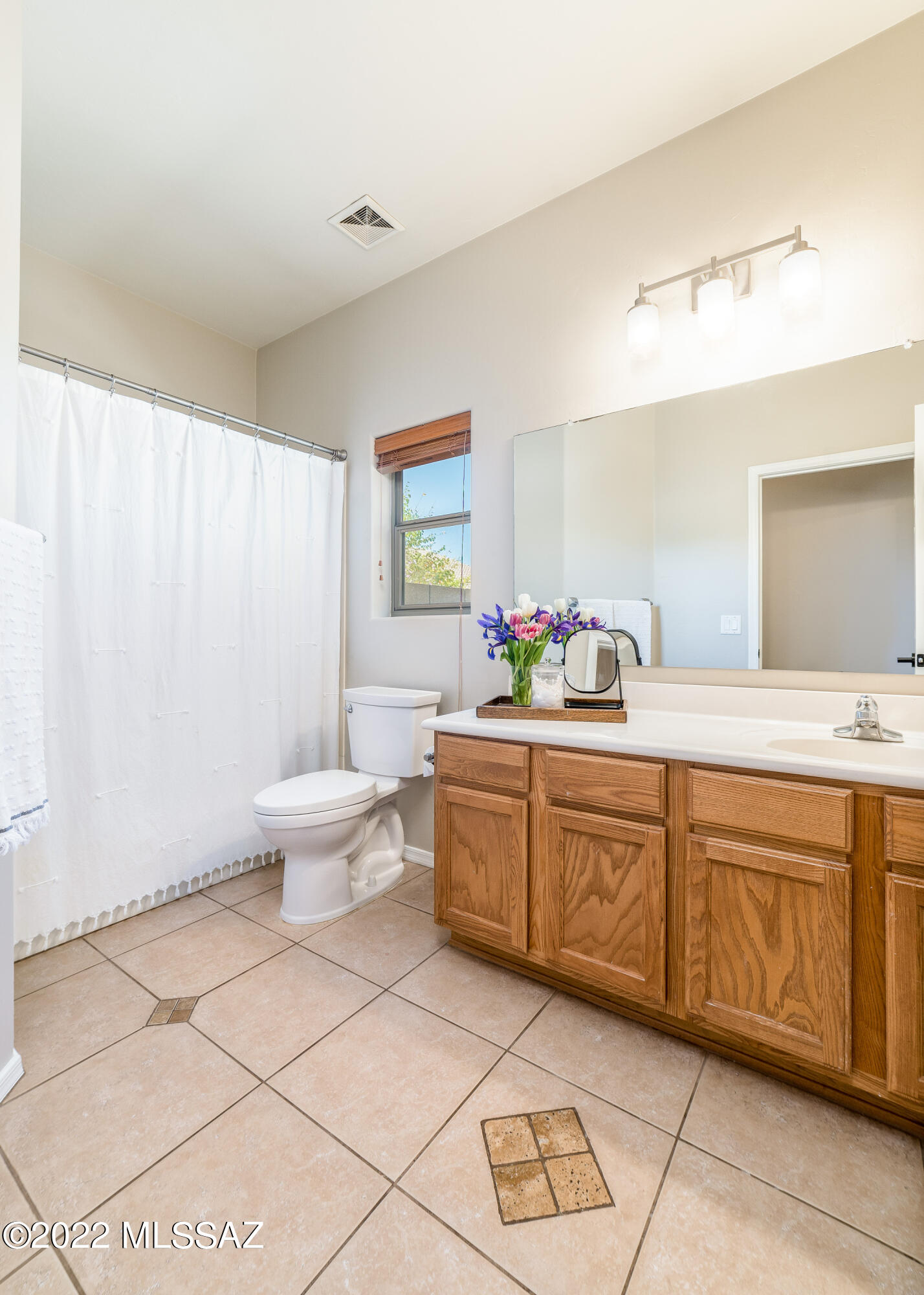 12532 N Stone Ring Drive