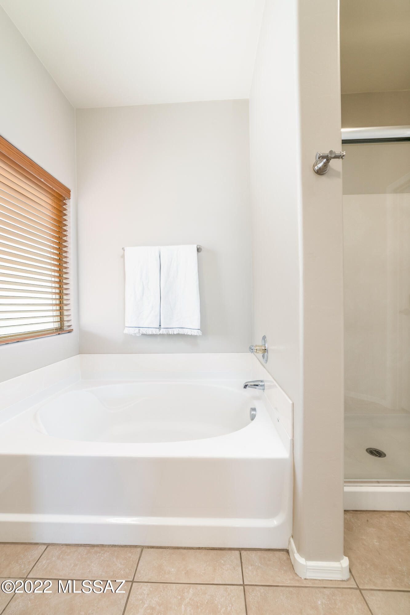 12532 N Stone Ring Drive