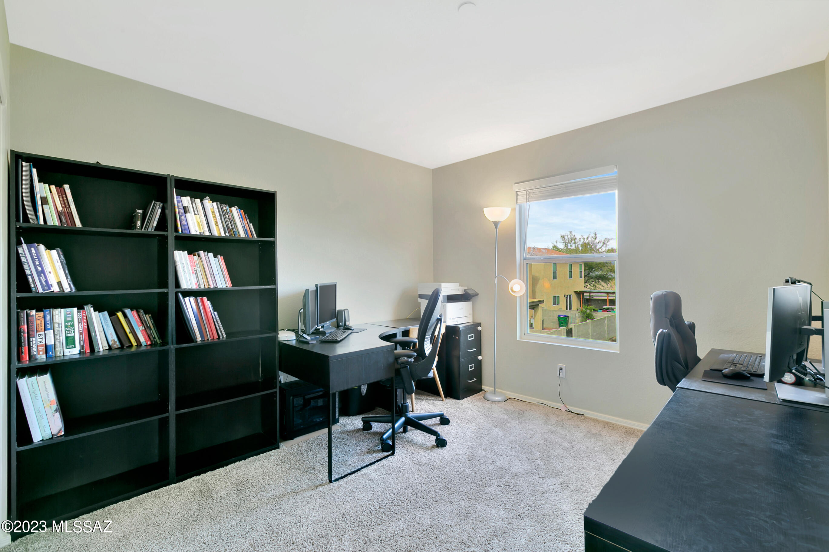 8461 N Placita De La Manzana