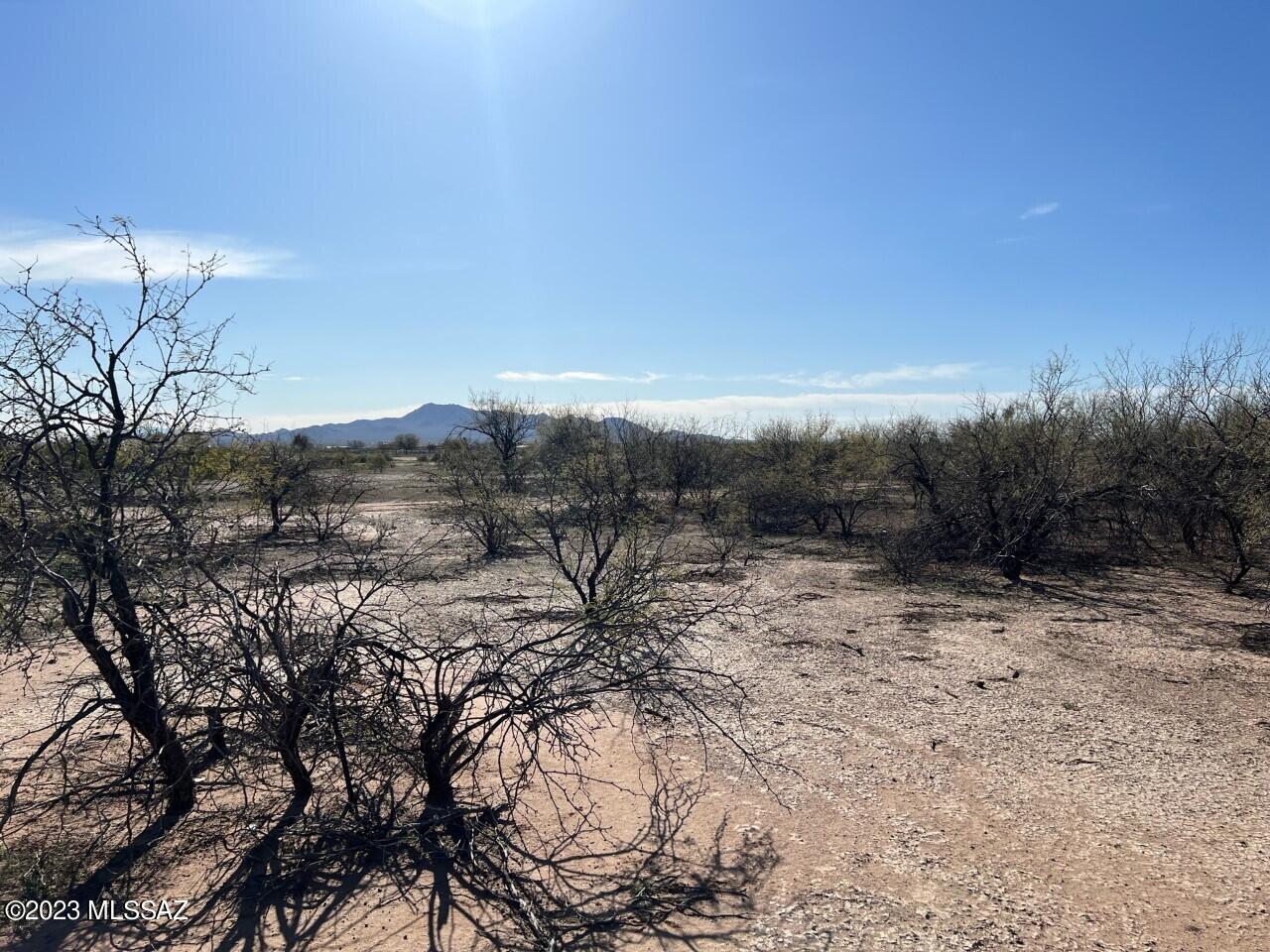 TBD Cherry Blossom Road