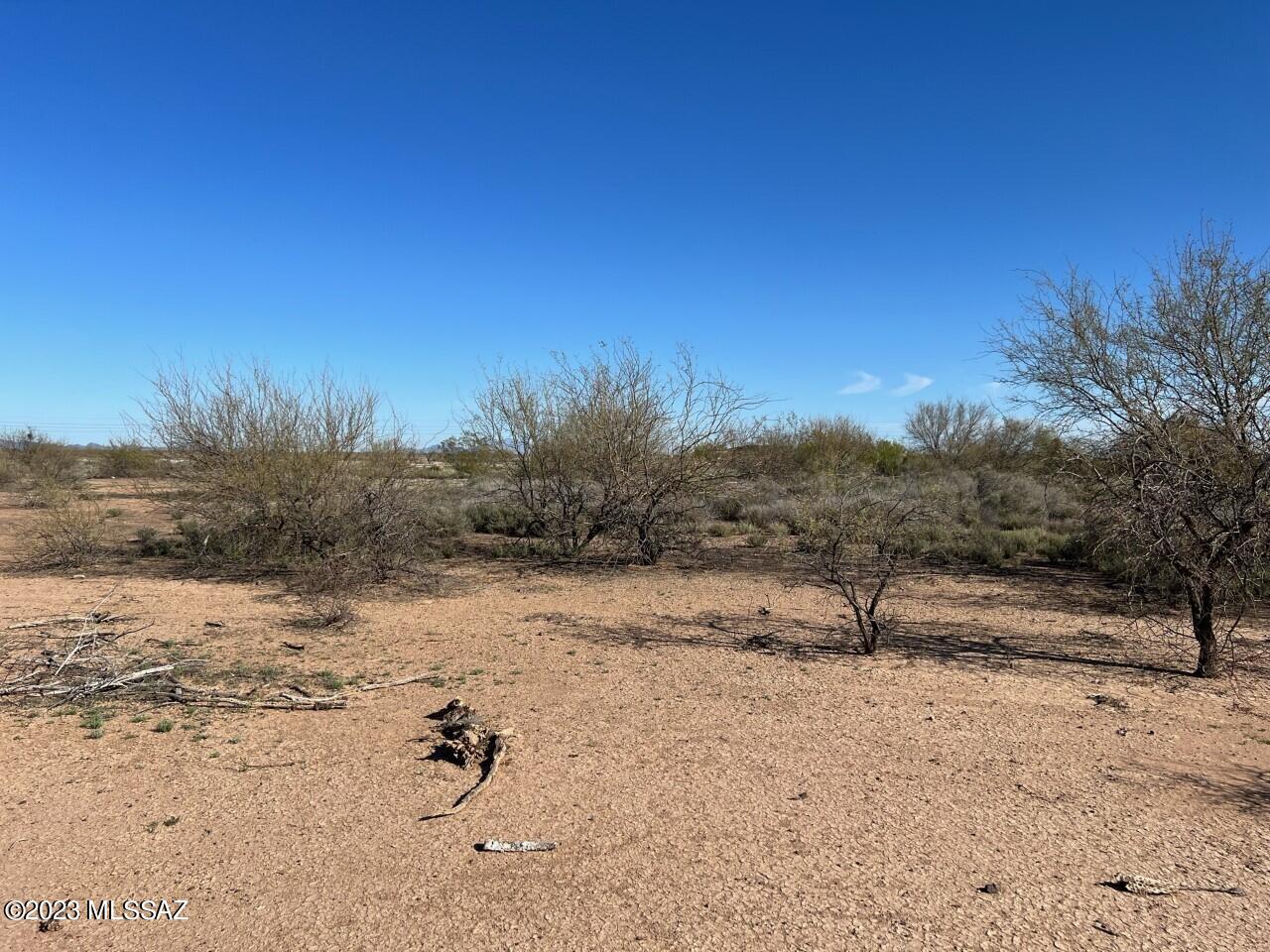 TBD Cherry Blossom Road