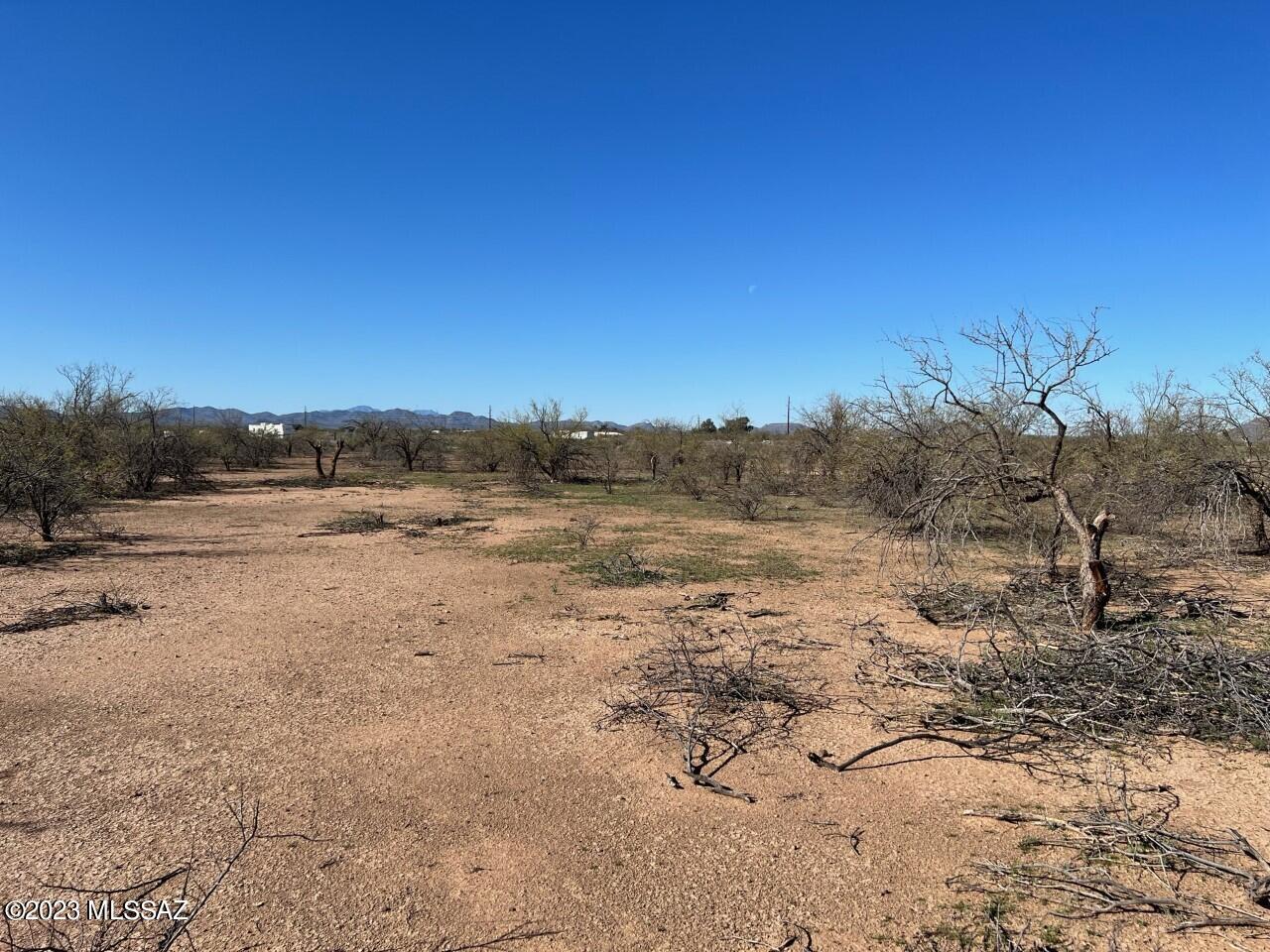 TBD Cherry Blossom Road