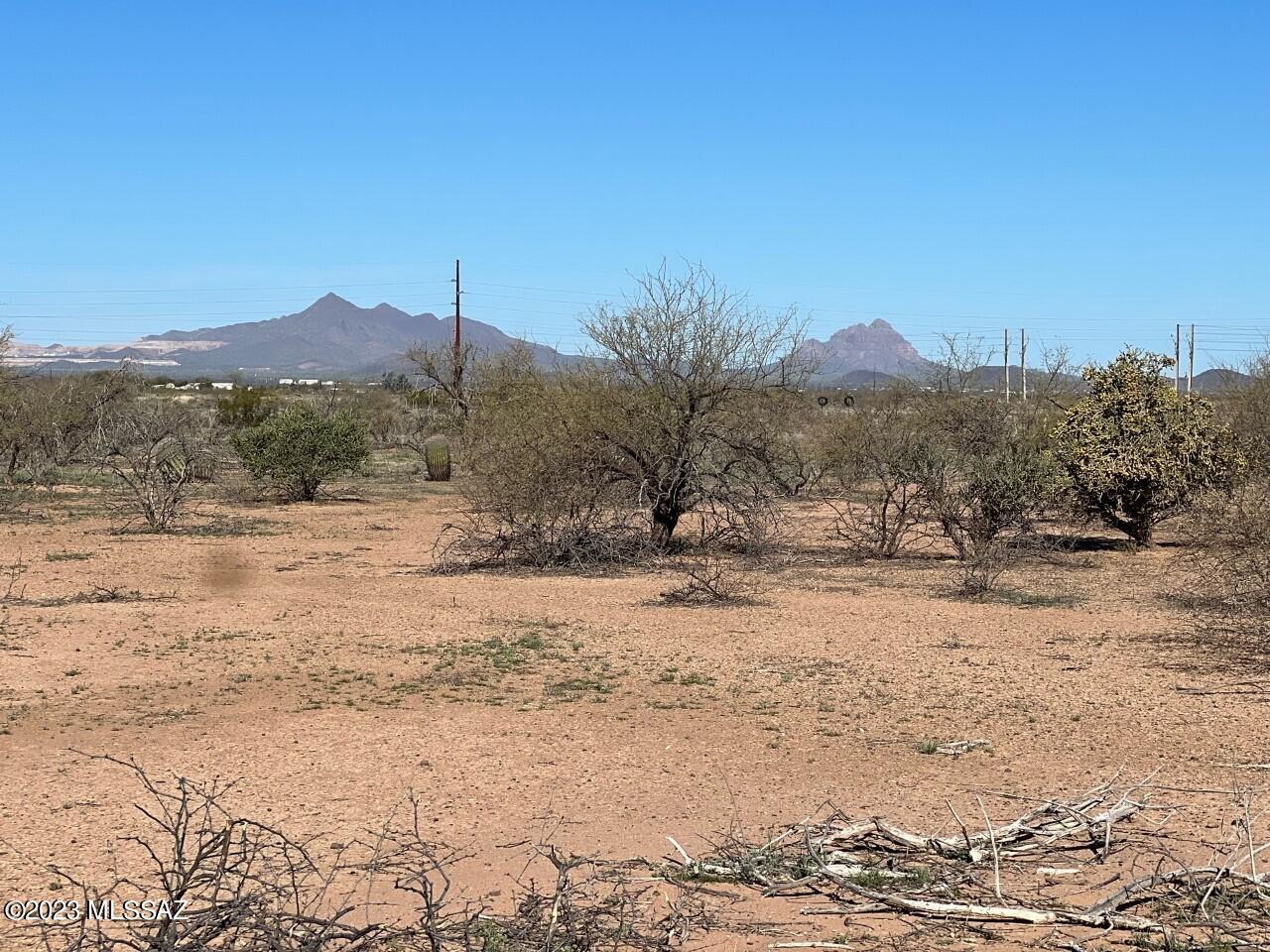 TBD Cherry Blossom Road