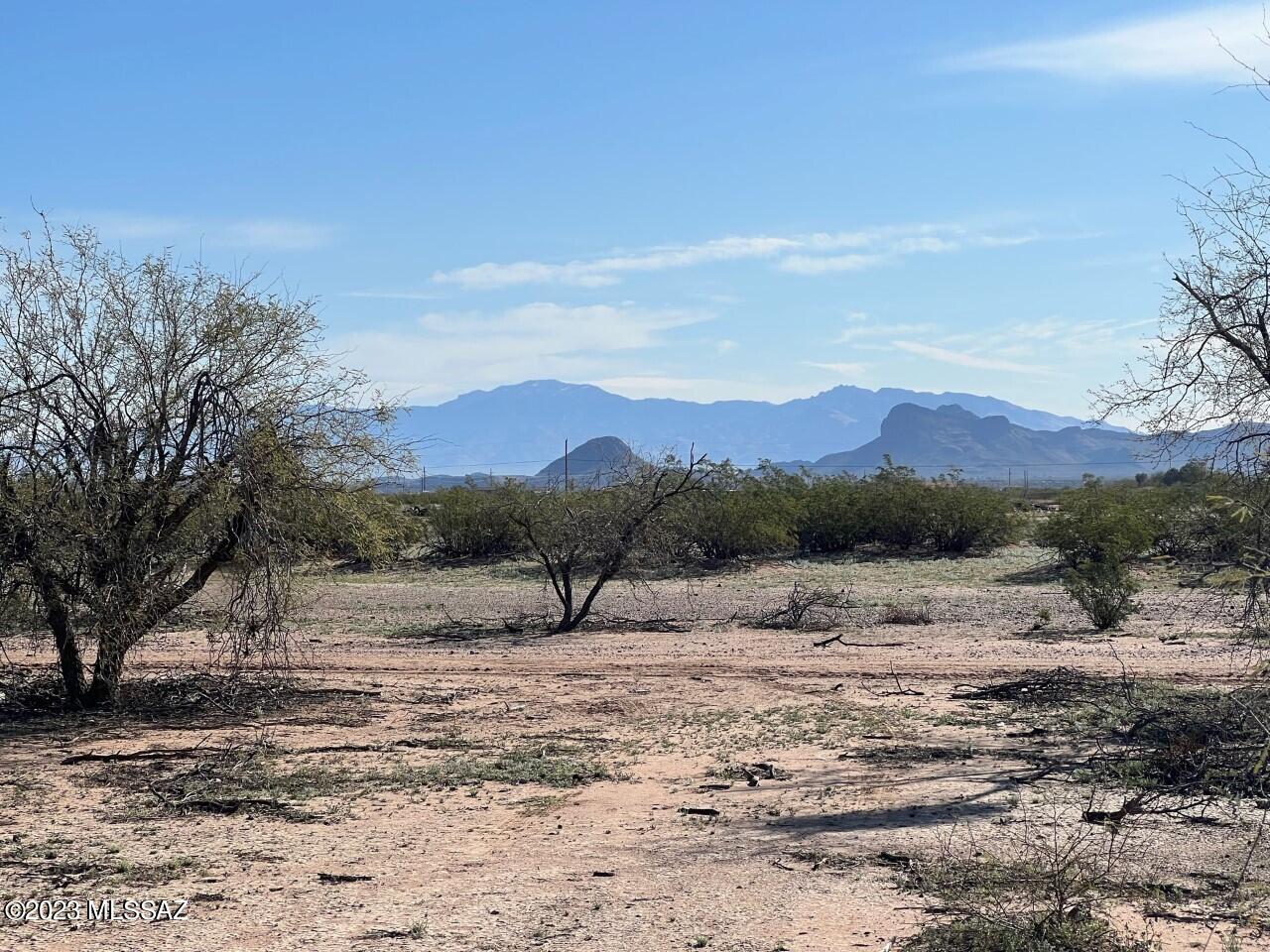 TBD Cherry Blossom Road