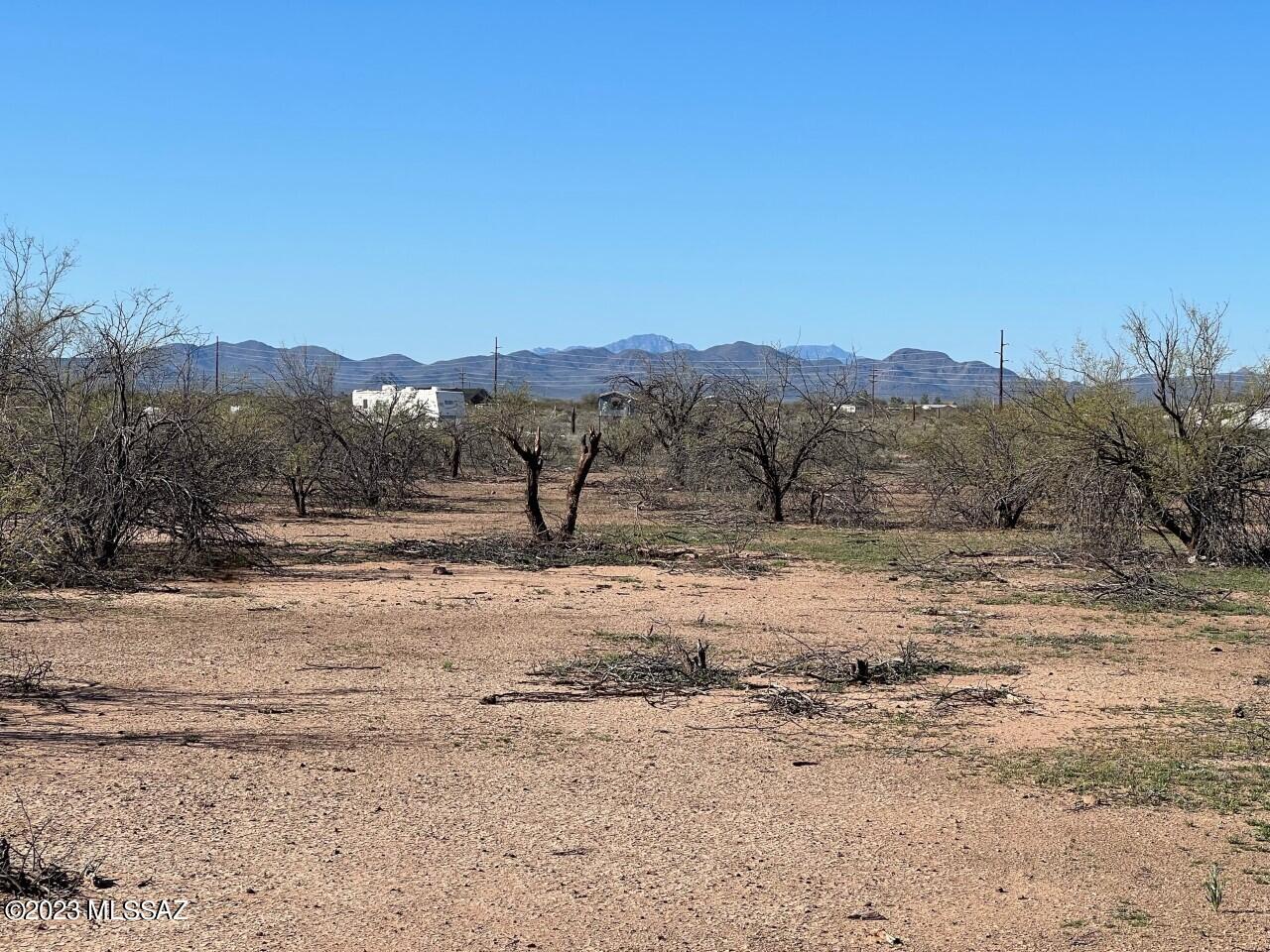 TBD Cherry Blossom Road