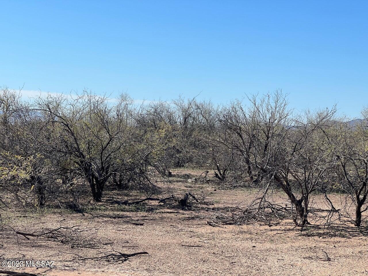 TBD Cherry Blossom Road