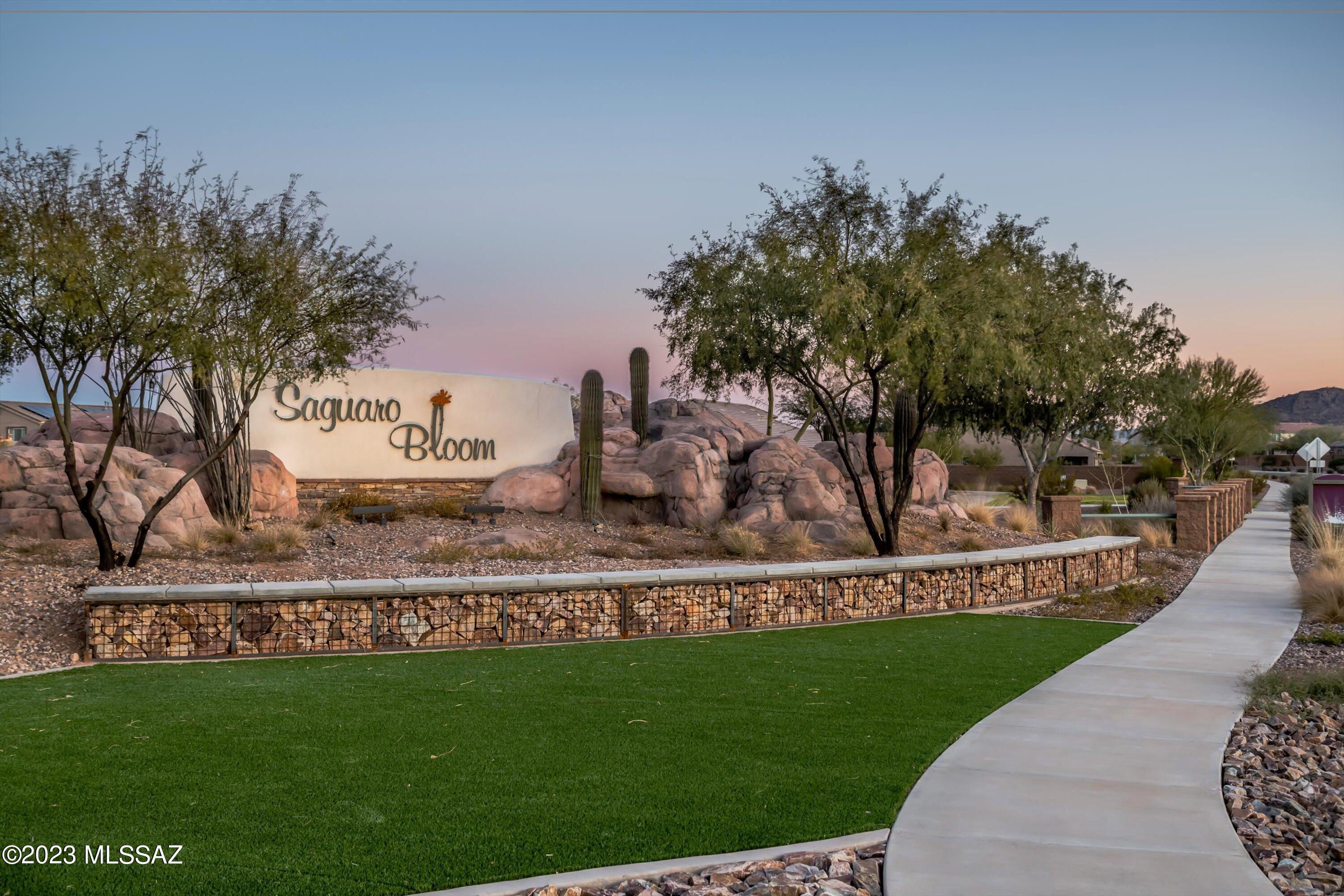 9890 N Saguaro Bloom Way