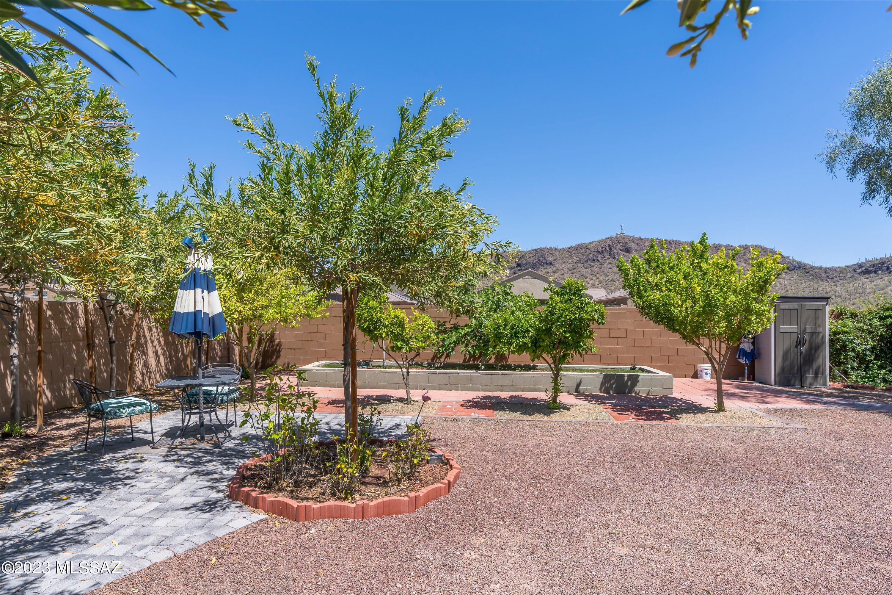 9890 N Saguaro Bloom Way