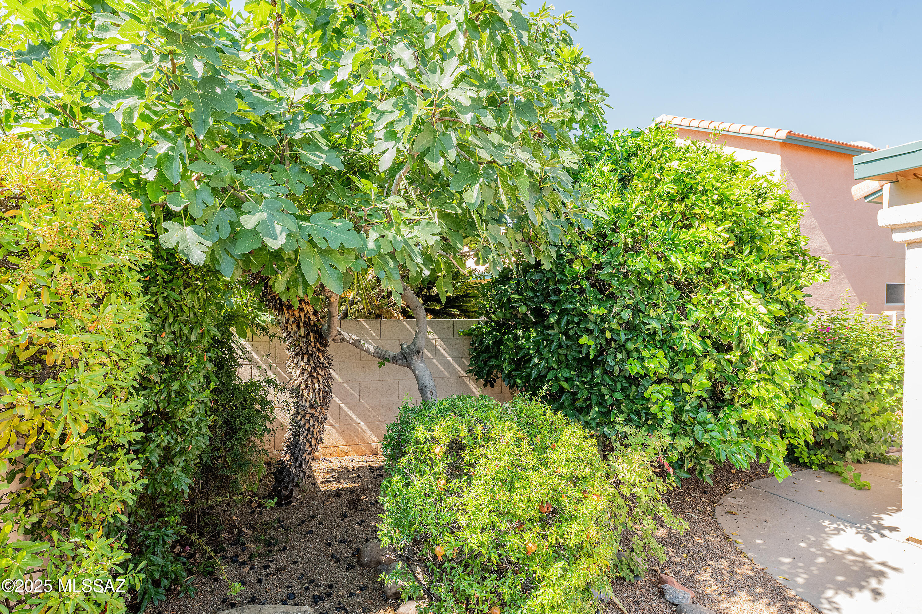 12324 N Mesquite Crest Way