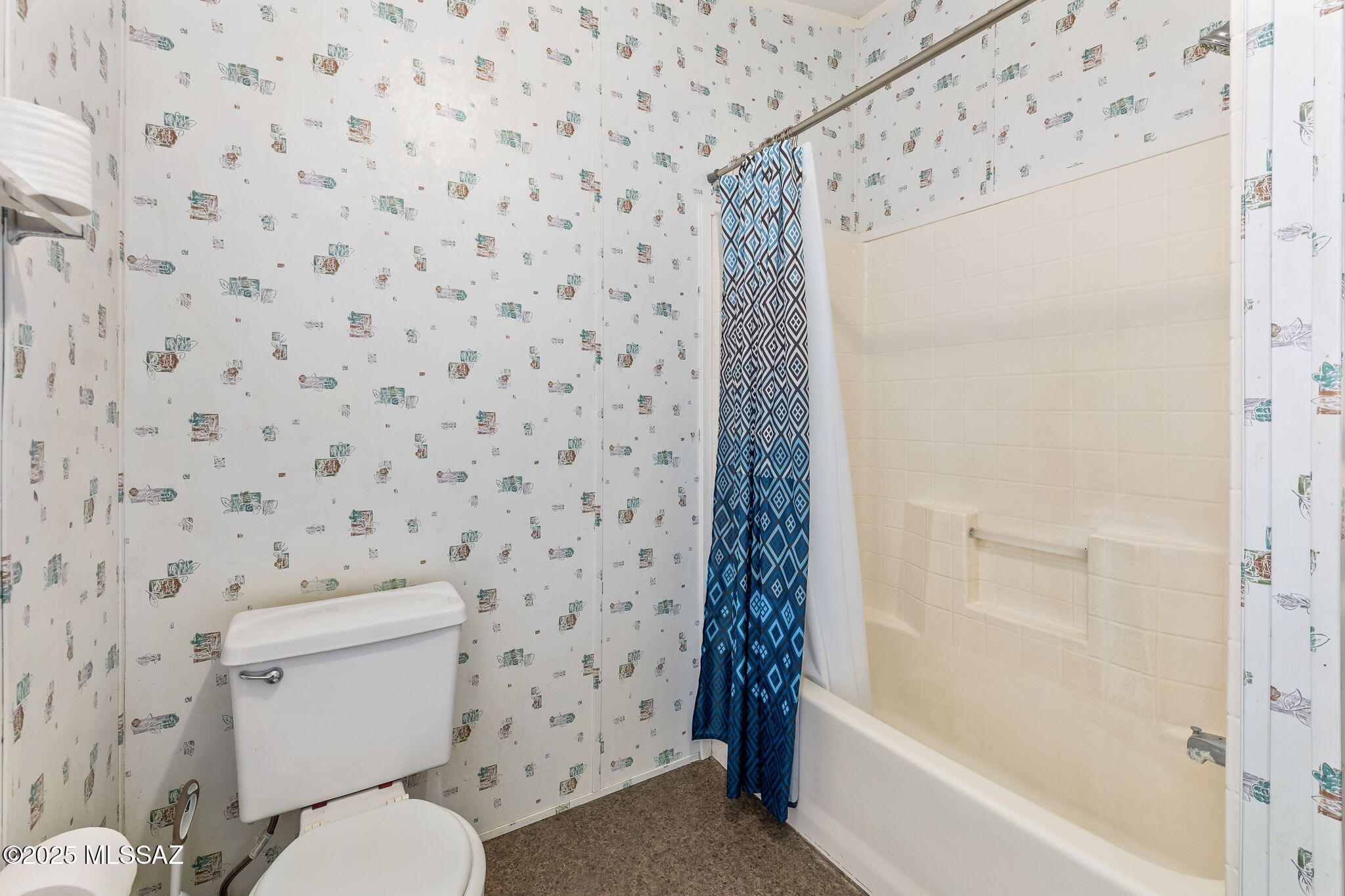 11777 W Camino Lucido