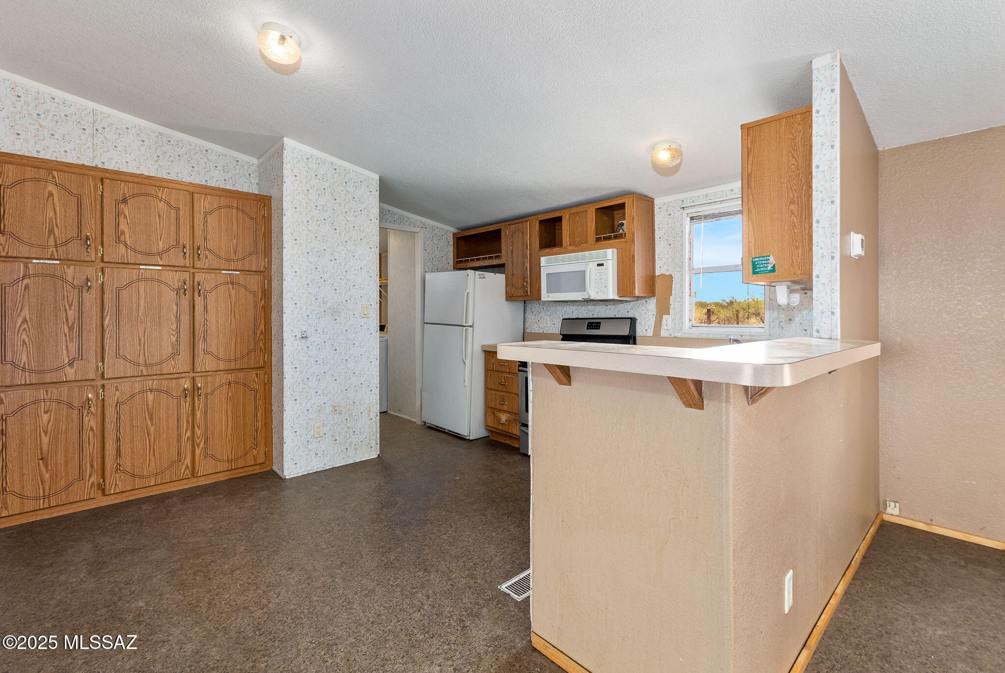 11777 W Camino Lucido