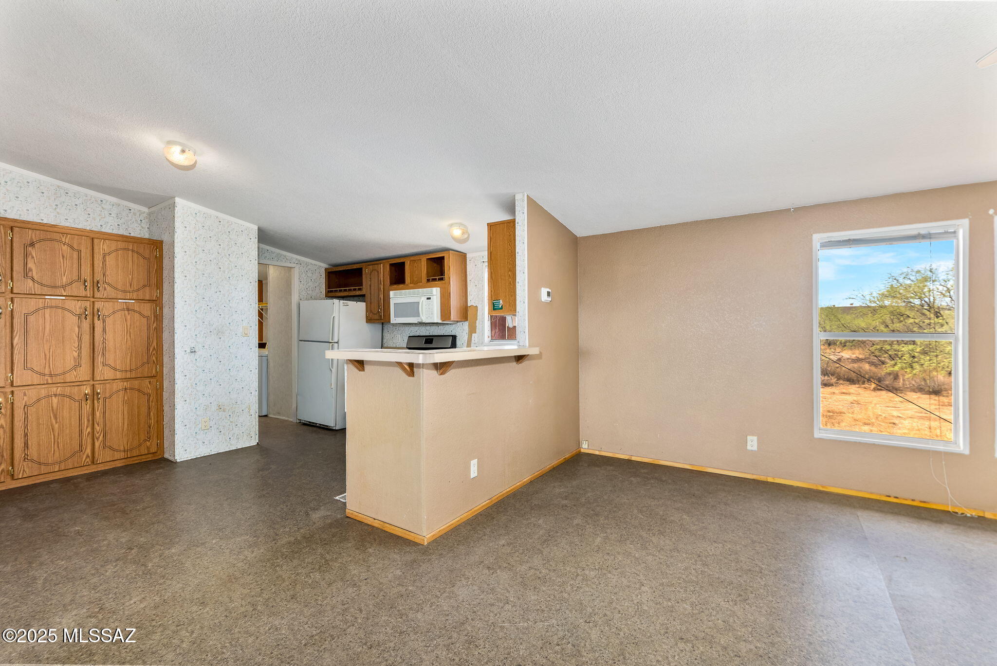 11777 W Camino Lucido