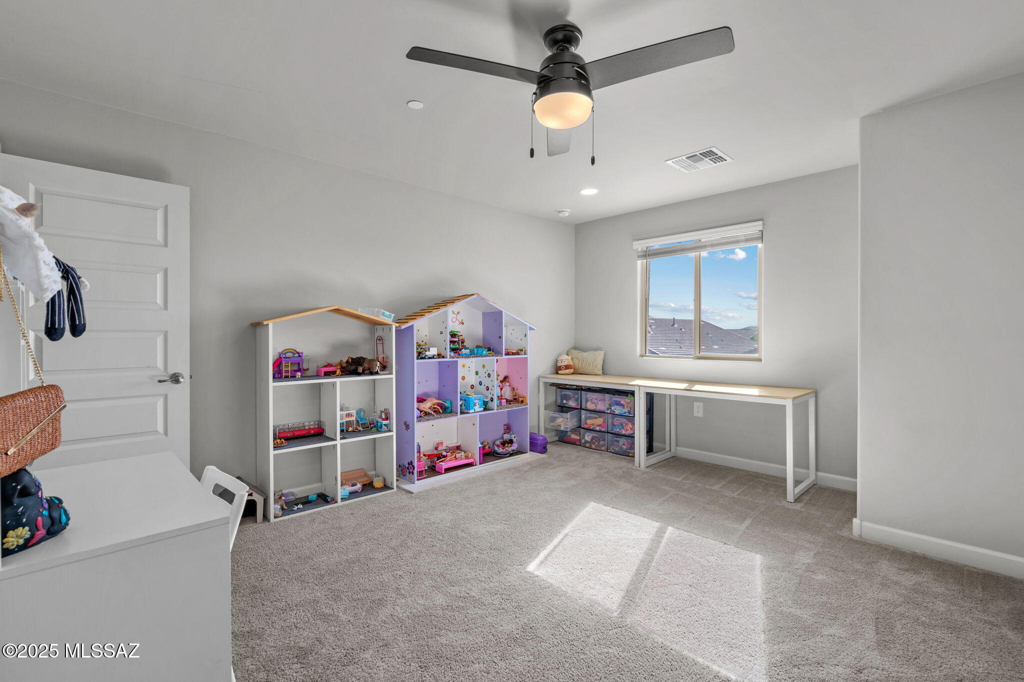 10184 N Black Dalea Drive