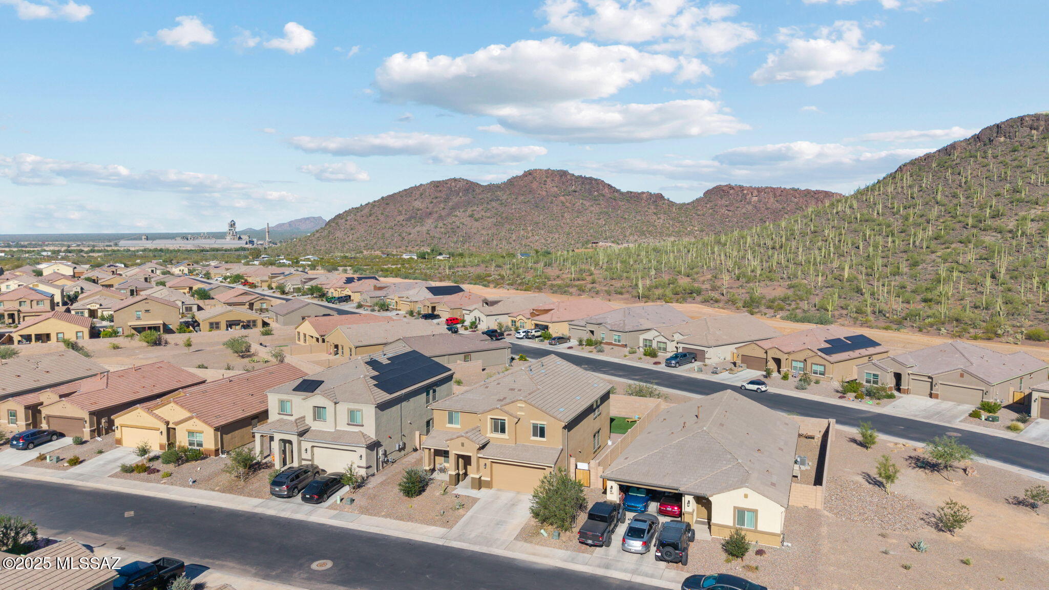 10184 N Black Dalea Drive