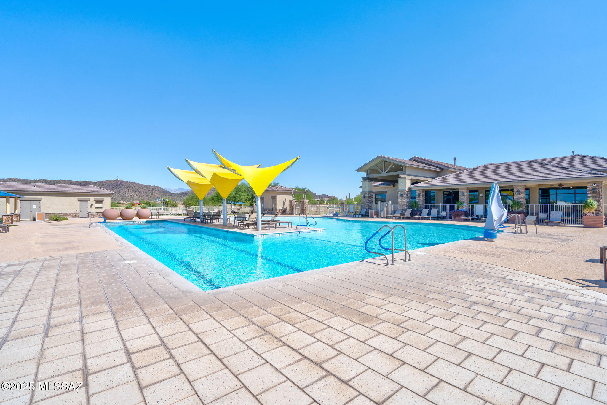 10184 N Black Dalea Drive