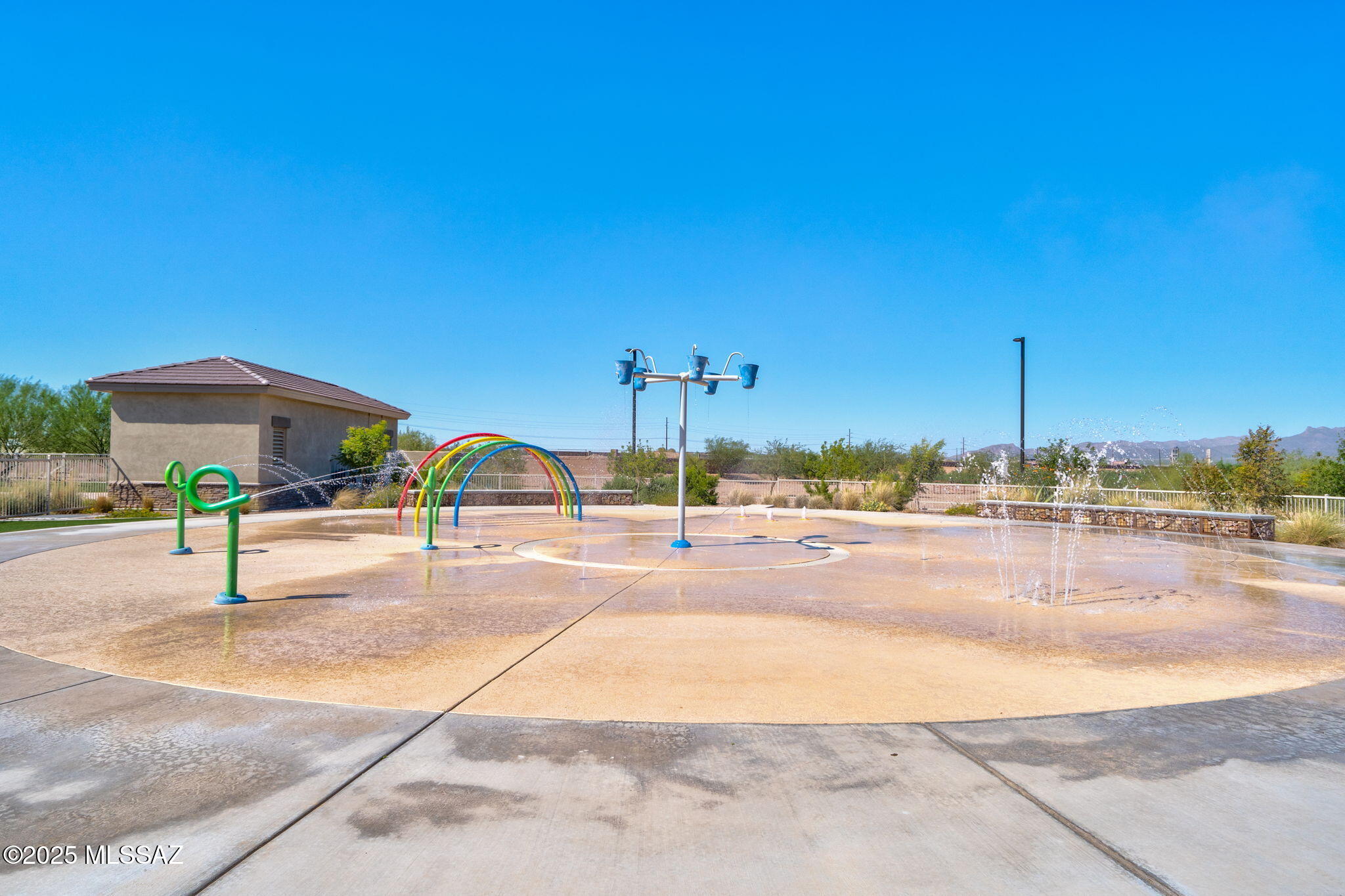 10184 N Black Dalea Drive