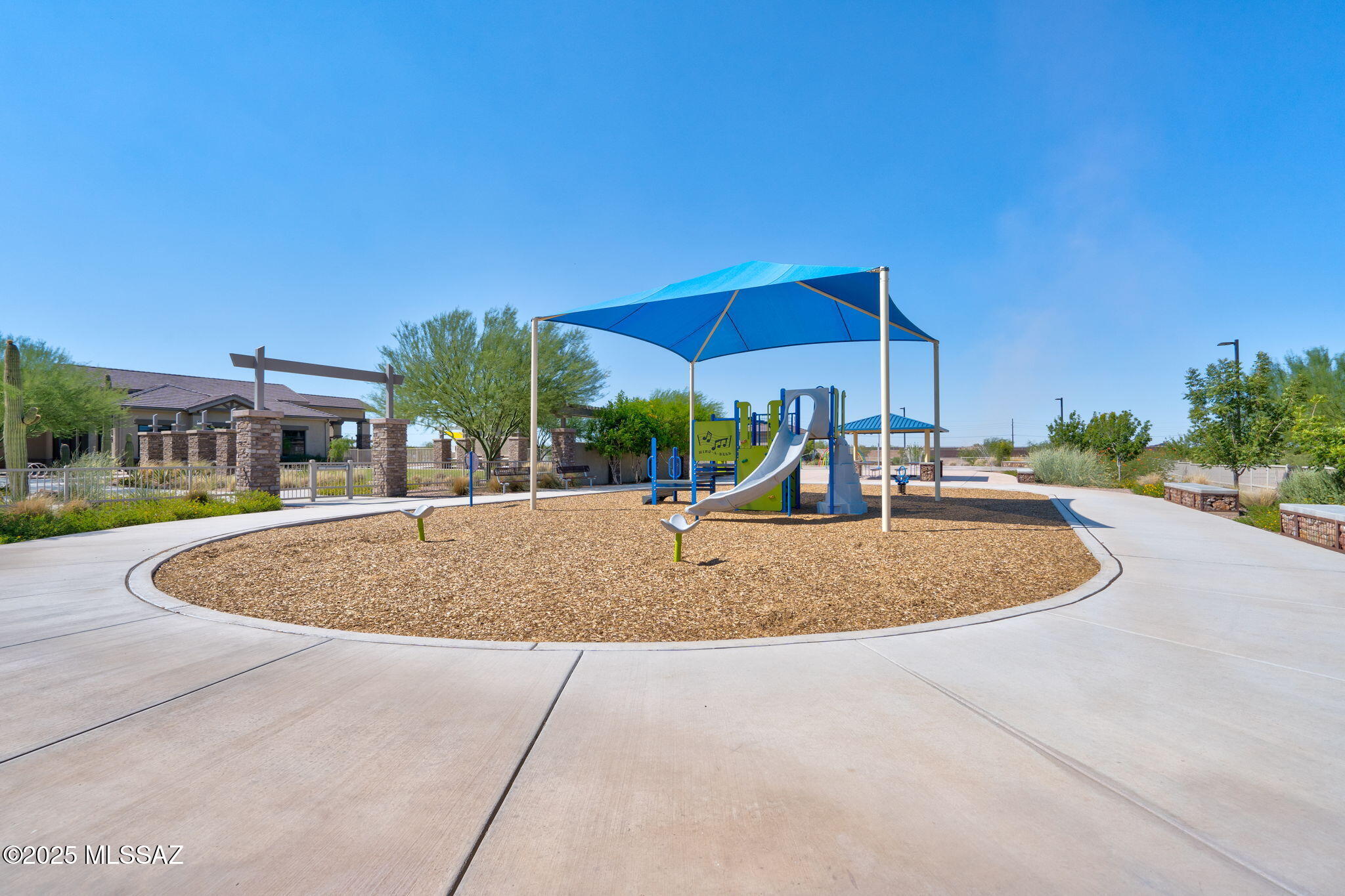 10184 N Black Dalea Drive