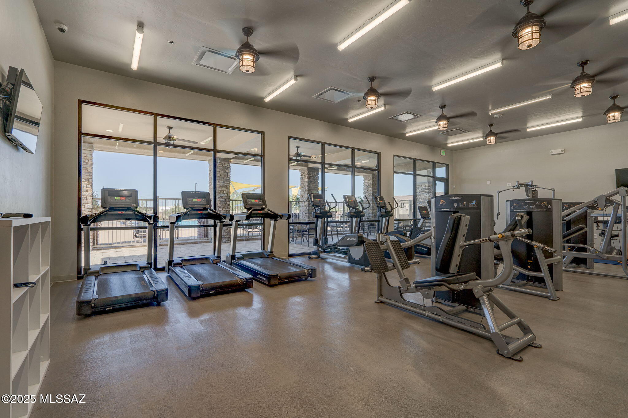 10184 N Black Dalea Drive