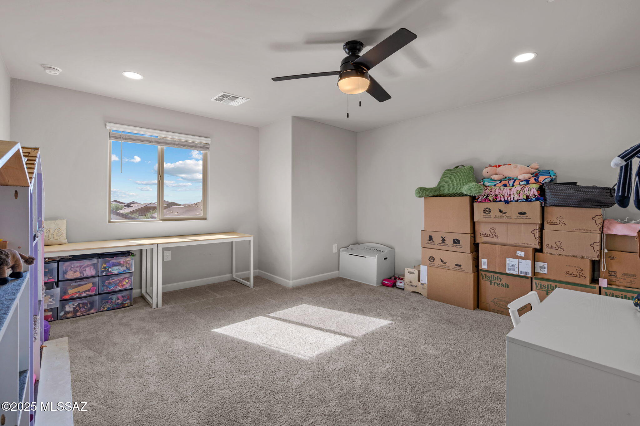 10184 N Black Dalea Drive