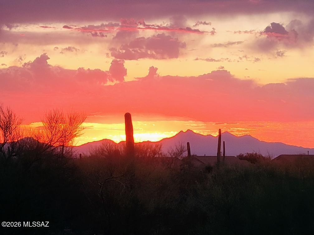 12301 N Golden Mirror Drive