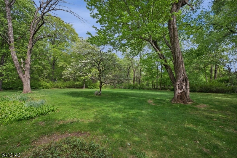 48 Walnut Cir