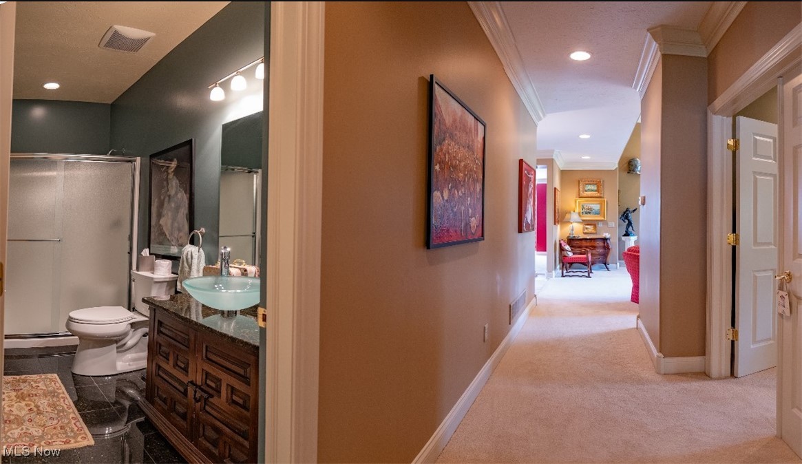 Carpeted hallway beside a bathroom with a dark wood vanity and glass vessel sink.