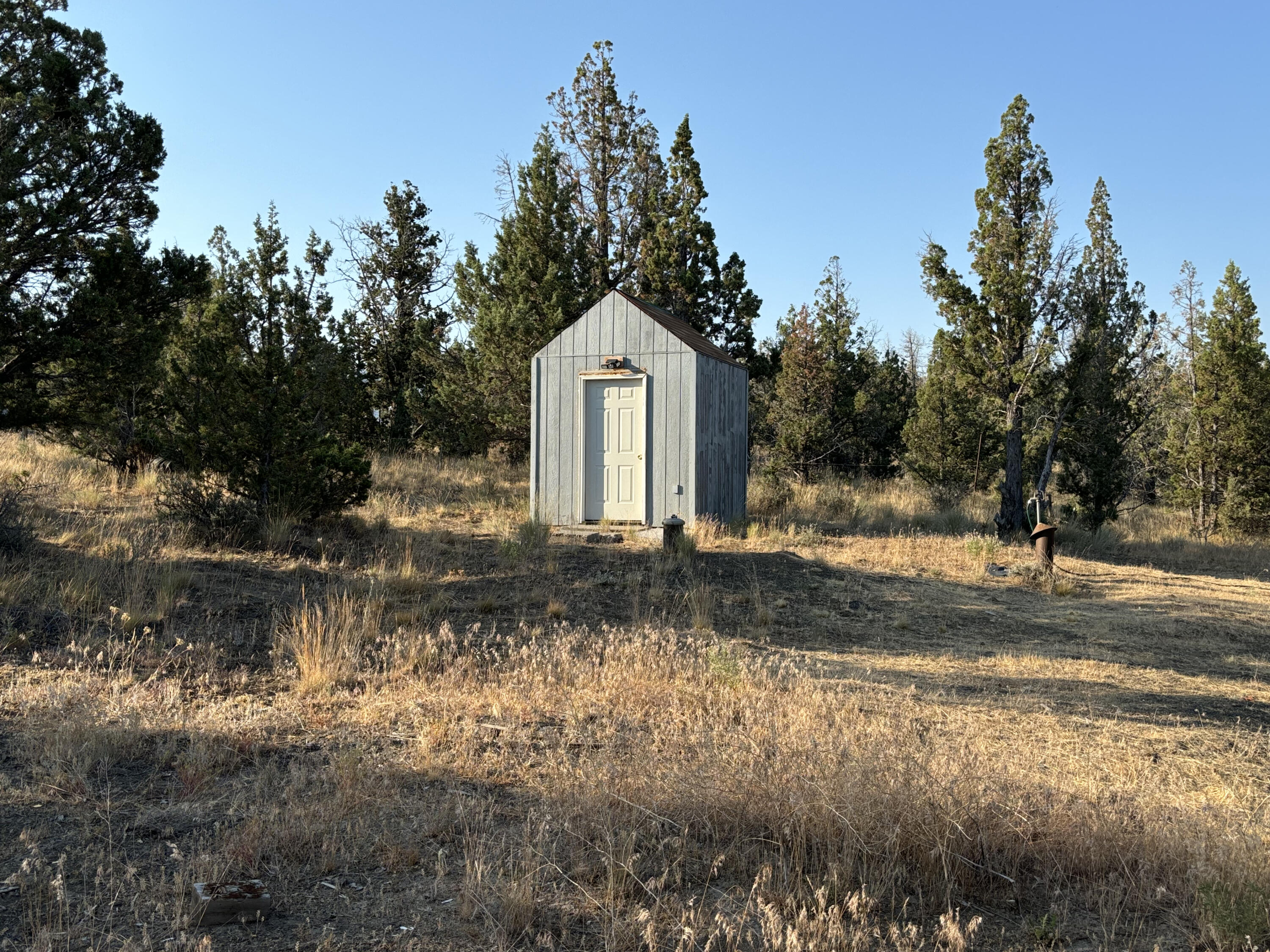 Gray storage shed with a light-colored door in a dry, tree-lined clearing.