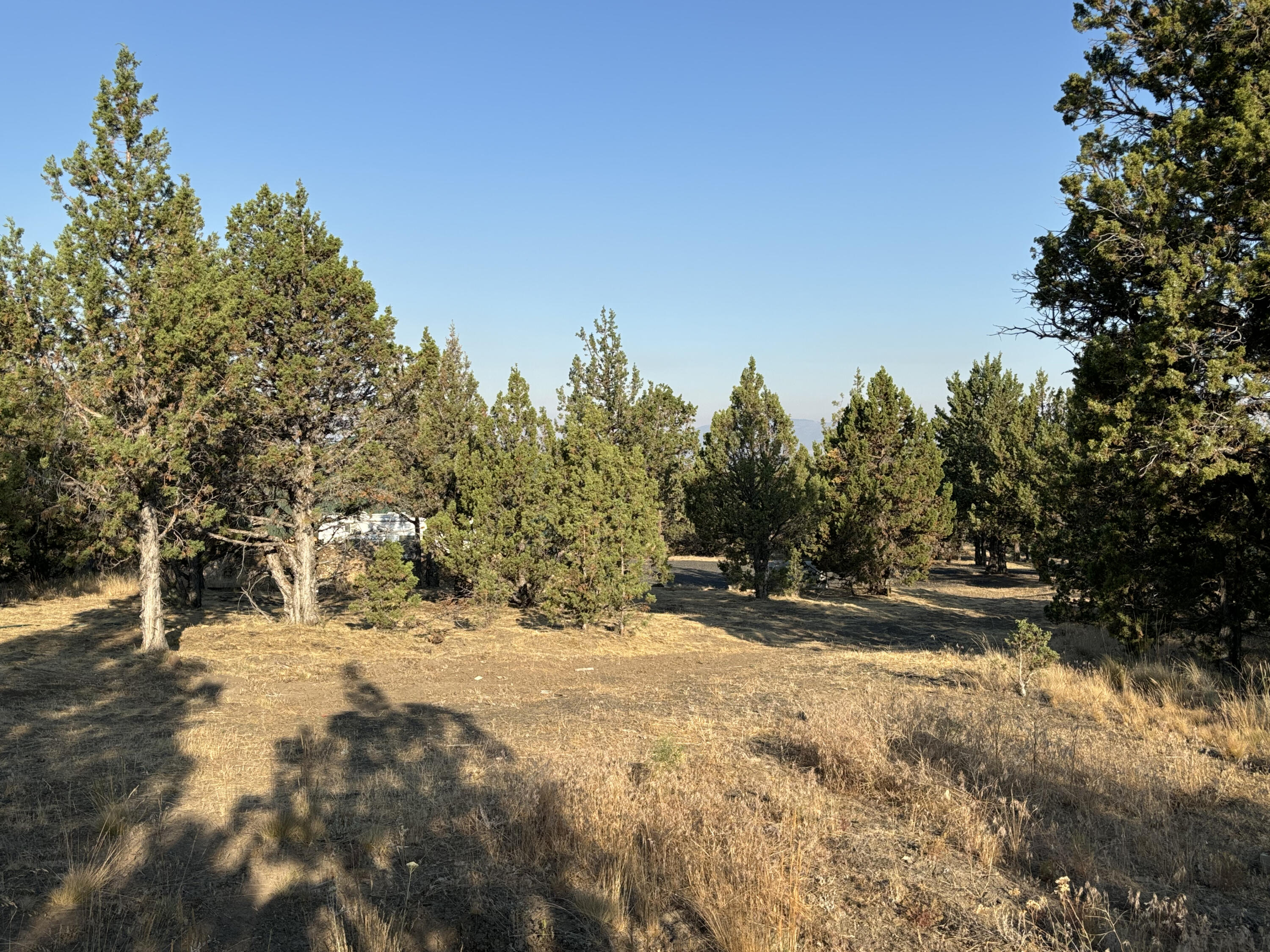 Open, juniper-covered property with dry golden grass and a glimpse of a light-colored structure.