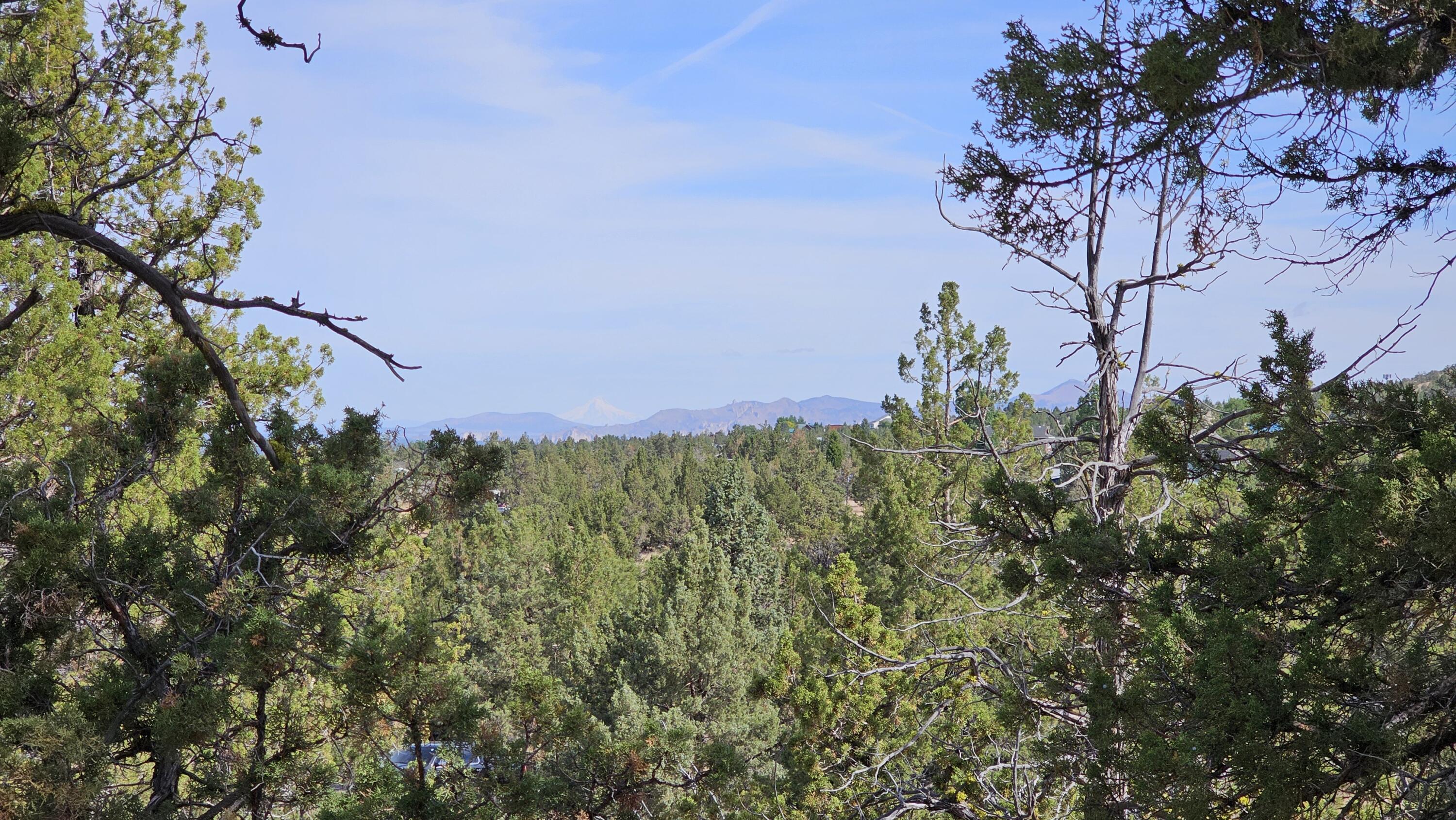 0 SW Antelope Drive Unit: Lot 15