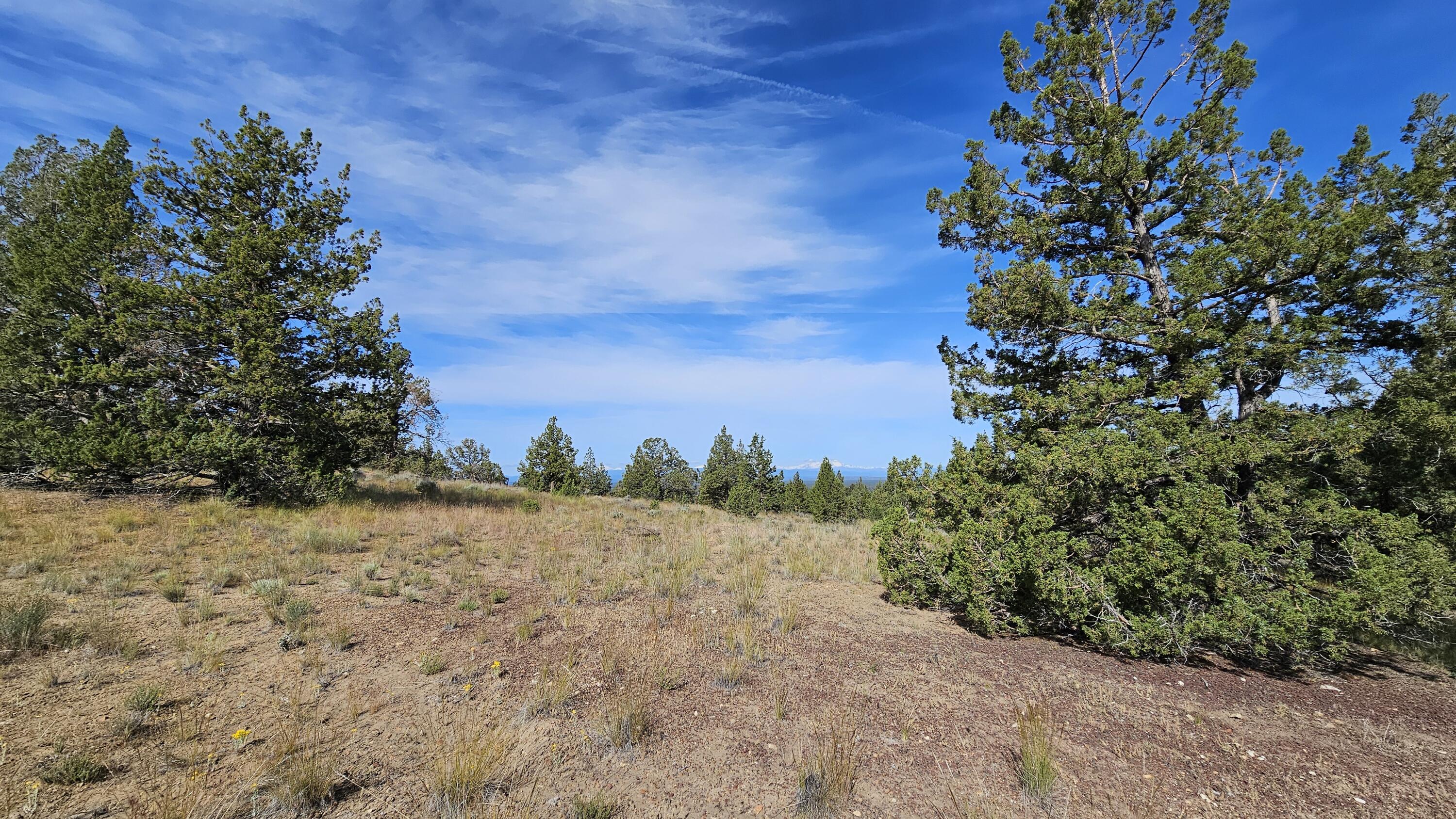 0 SW Antelope Drive Unit: Lot 15