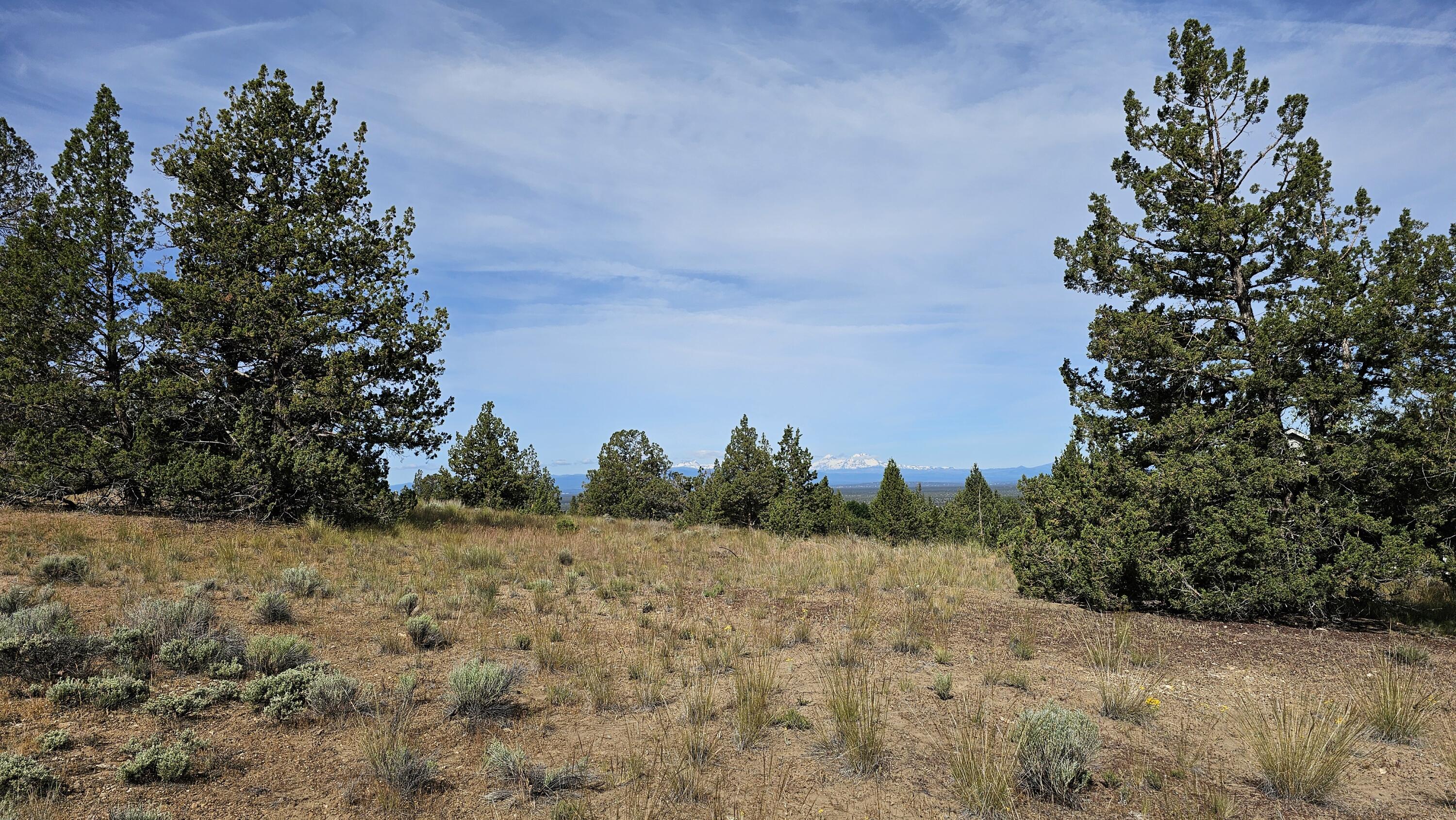 0 SW Antelope Drive Unit: Lot 15