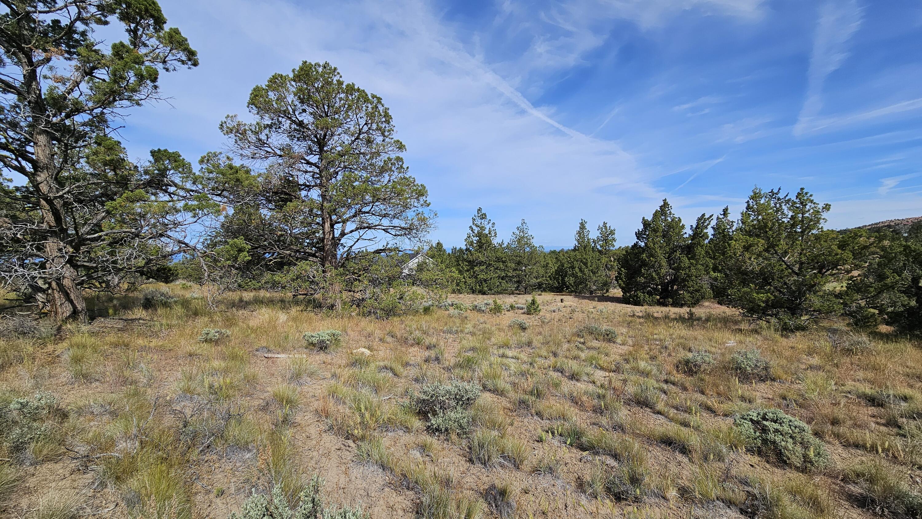0 SW Antelope Drive Unit: Lot 15