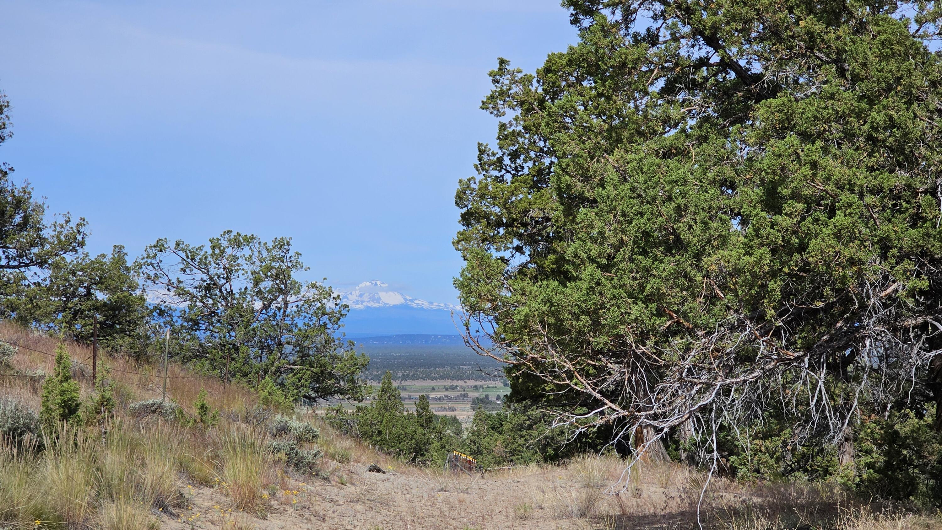 0 SW Antelope Drive Unit: Lot 15