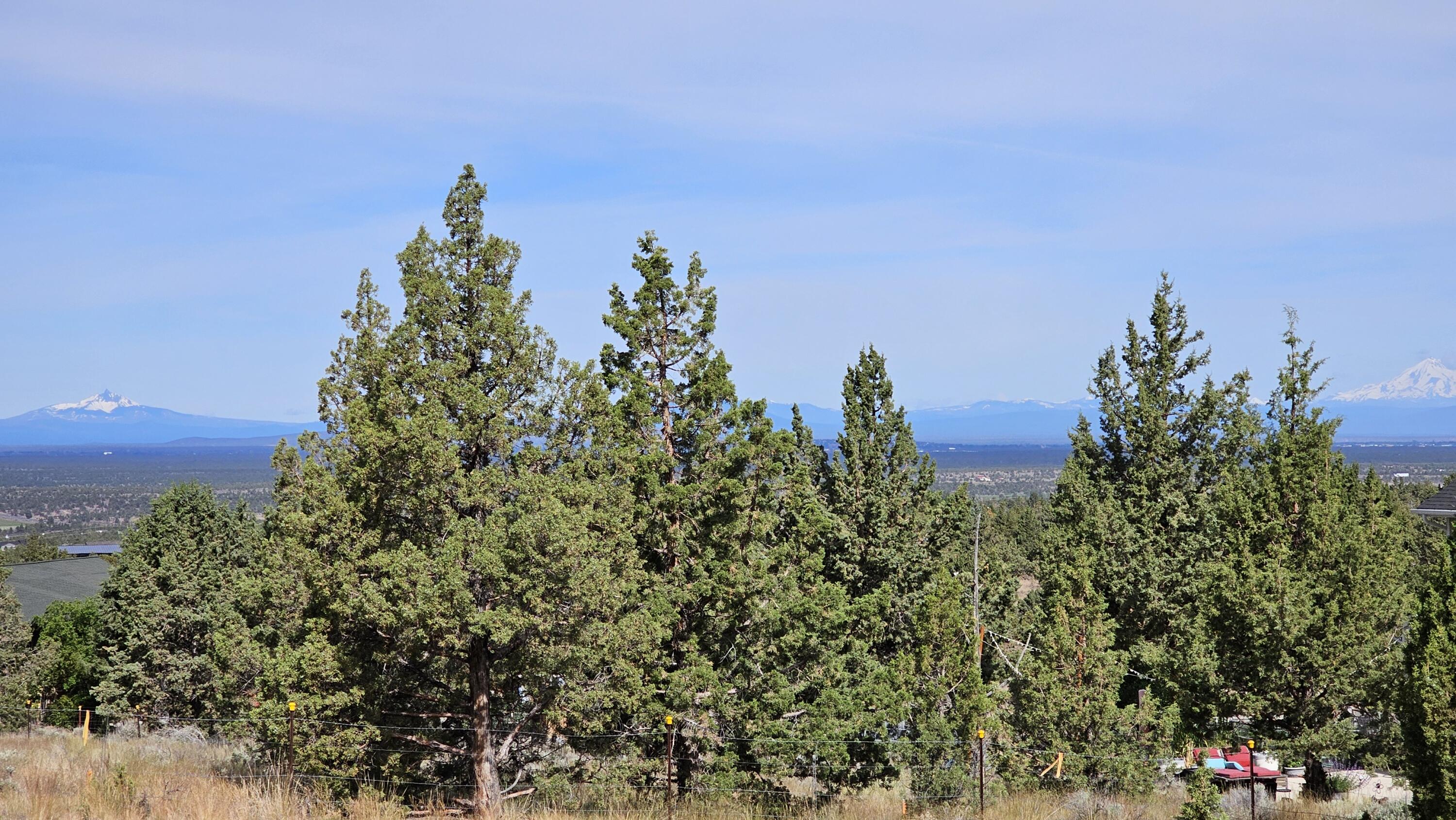 0 SW Antelope Drive Unit: Lot 15