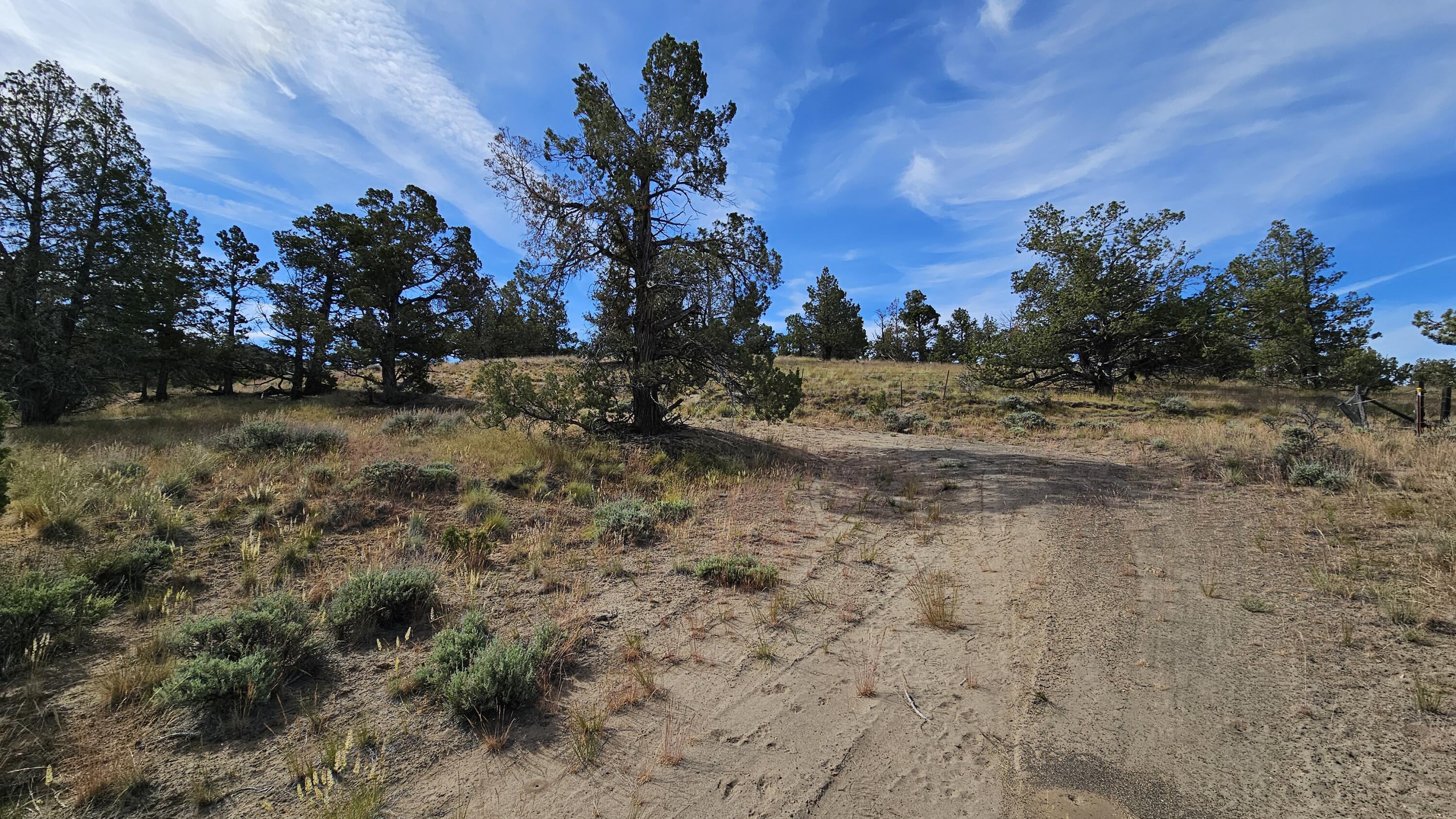 0 SW Antelope Drive Unit: Lot 15