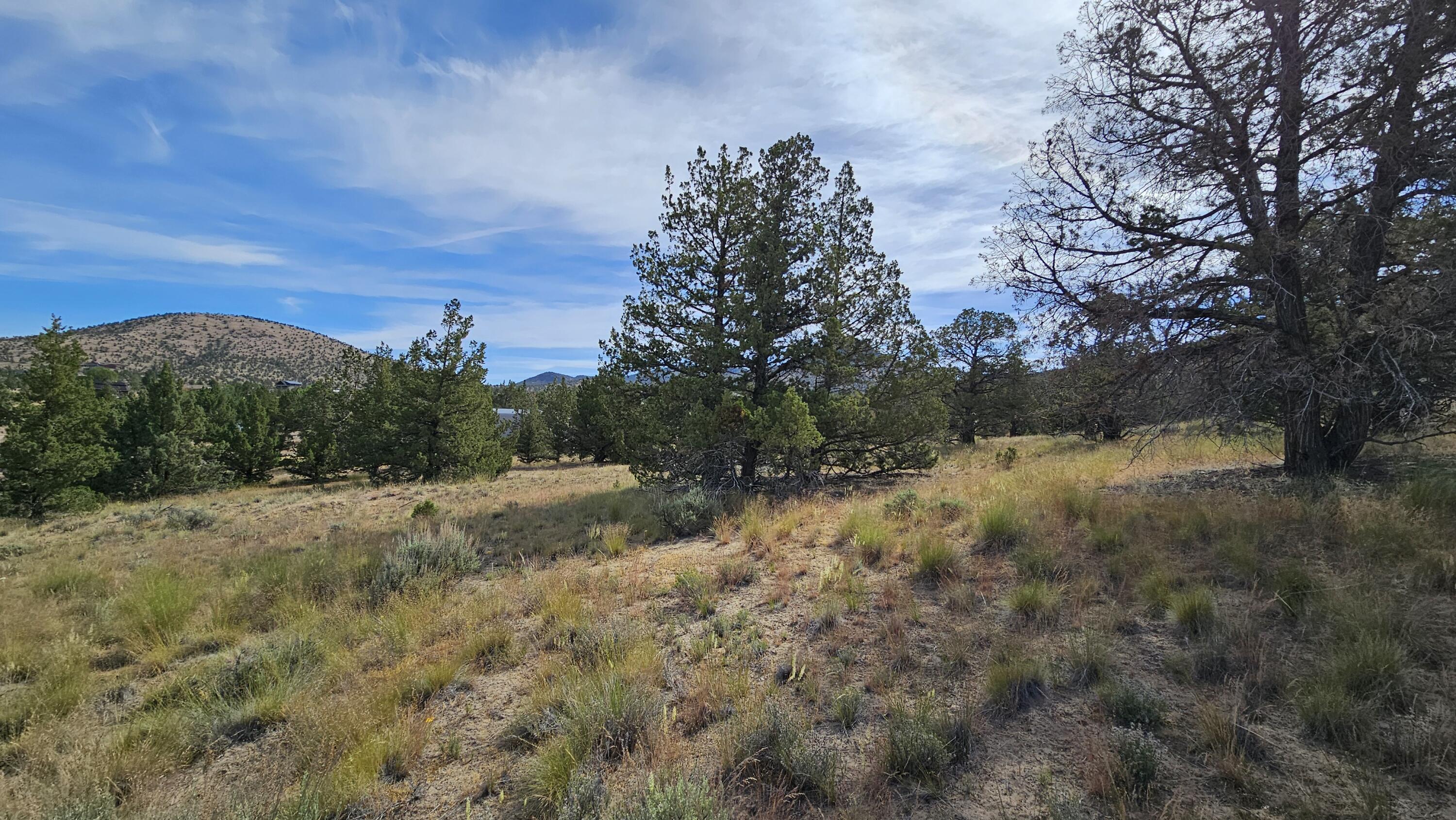 0 SW Antelope Drive Unit: Lot 15