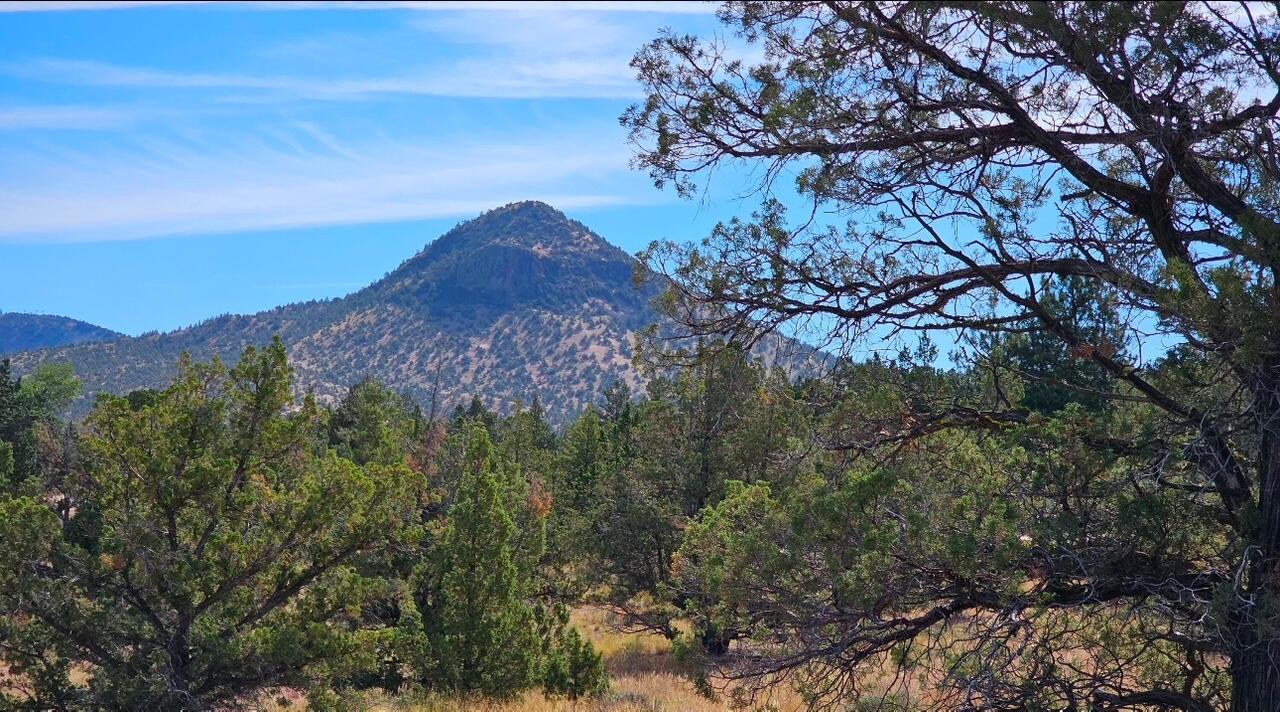 0 SW Antelope Drive Unit: Lot 15