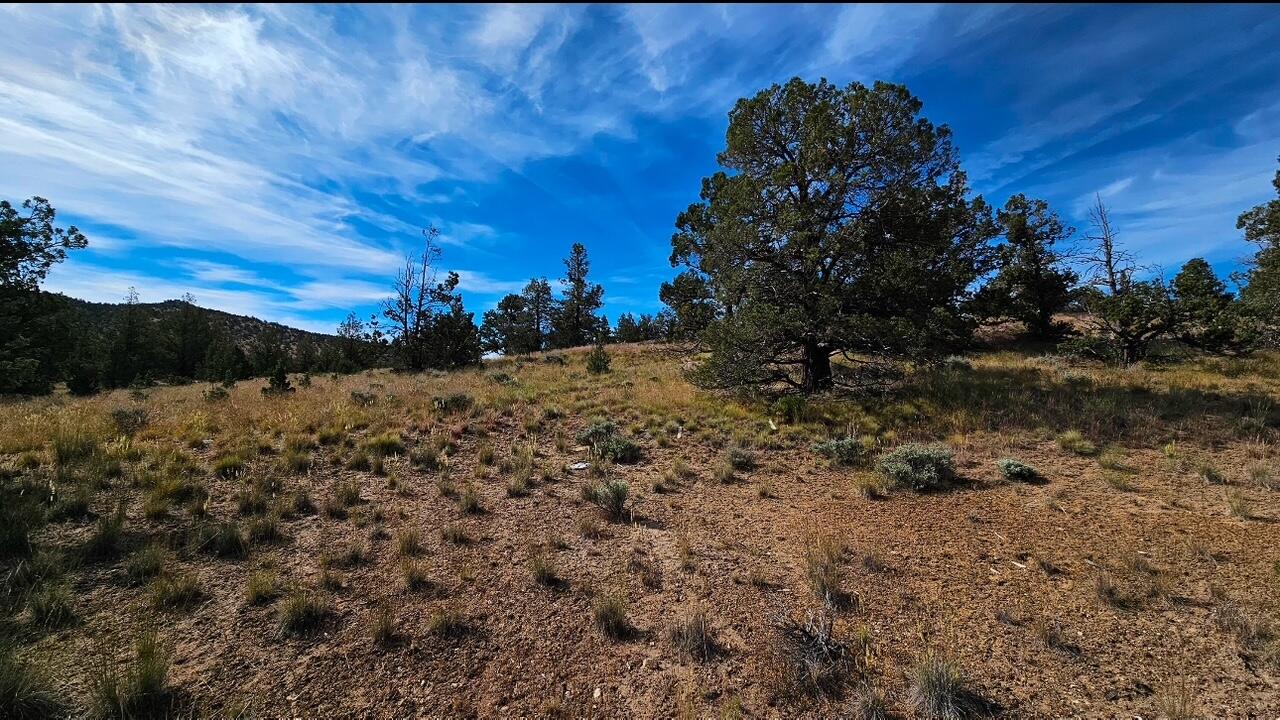 0 SW Antelope Drive Unit: Lot 15