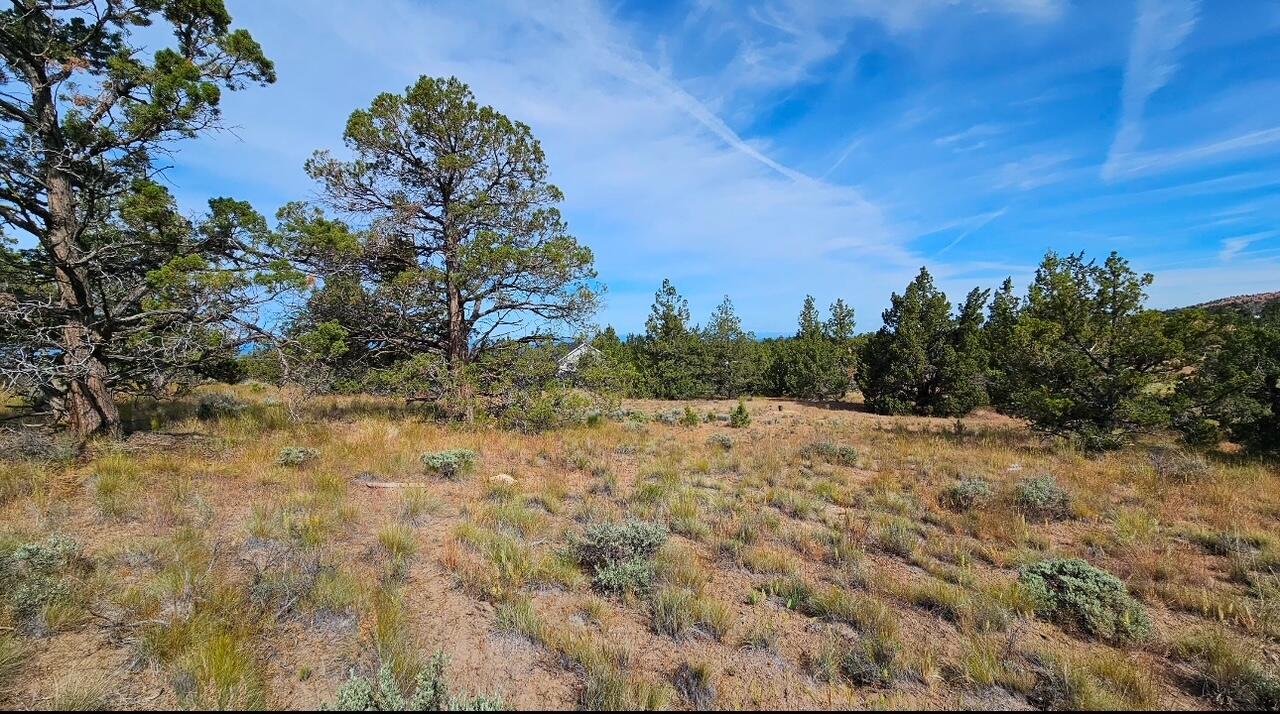 0 SW Antelope Drive Unit: Lot 15