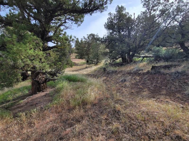 2615 TL SE Doubtful Dirt Road