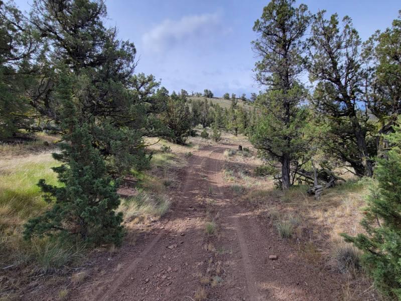 2615 TL SE Doubtful Dirt Road