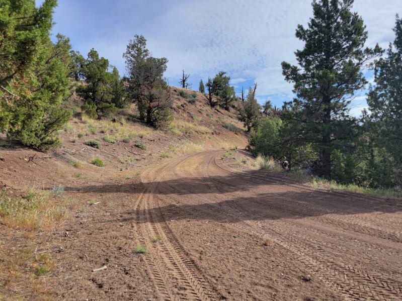 2615 TL SE Doubtful Dirt Road