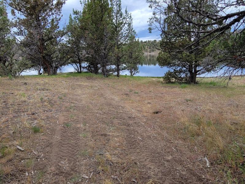 2615 TL SE Doubtful Dirt Road