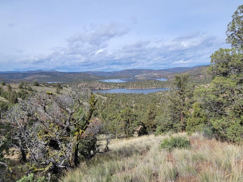 2615 TL SE Doubtful Dirt Road