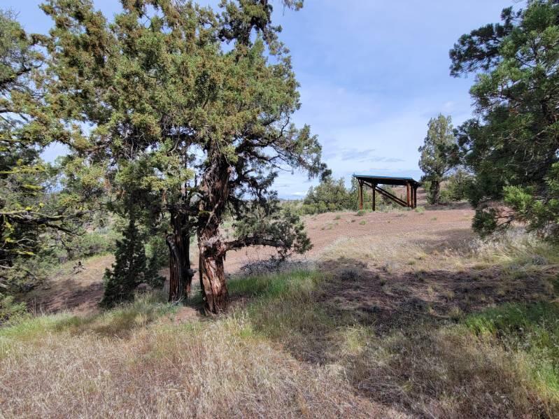 2615 TL SE Doubtful Dirt Road