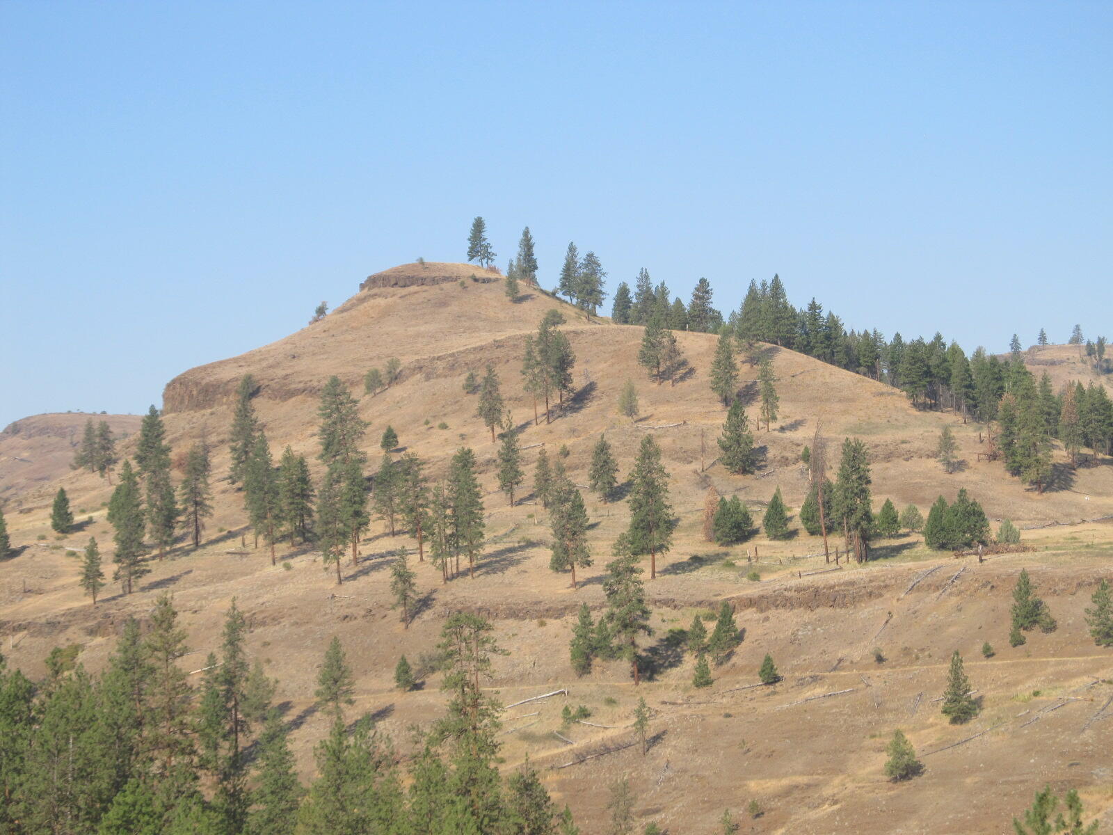 2100 North Fork 40