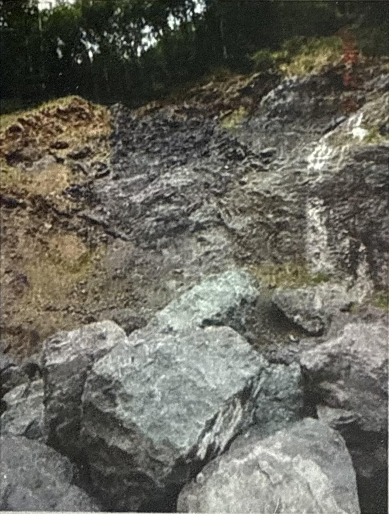 1 Kilchis River Road