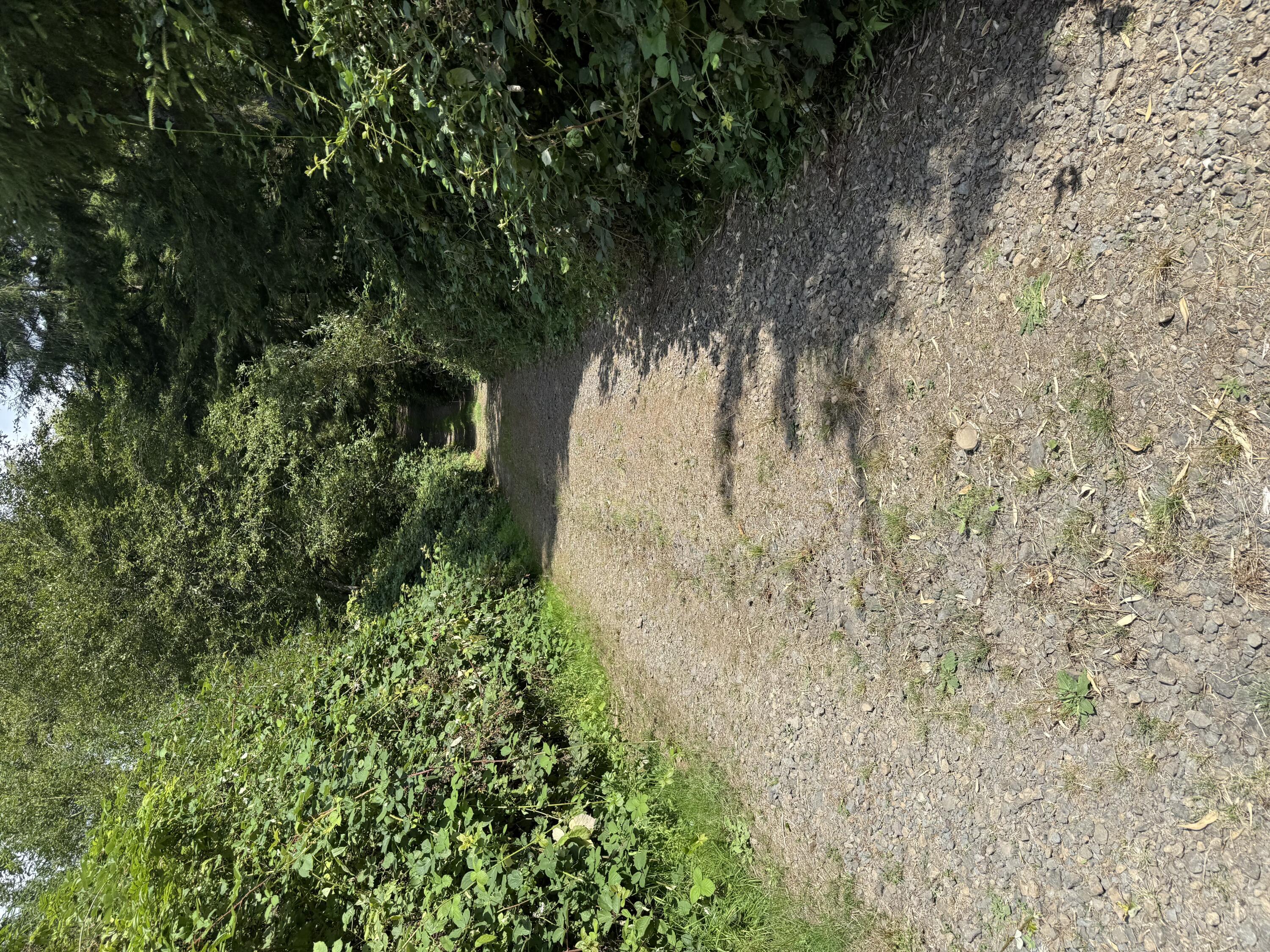 1 Kilchis River Road