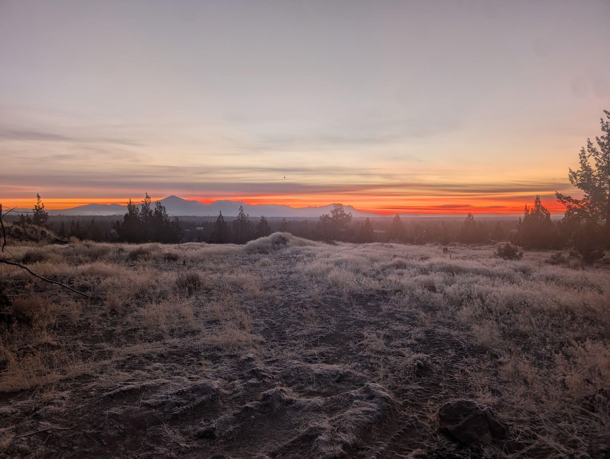 Lot SW Pheasant Place, 17